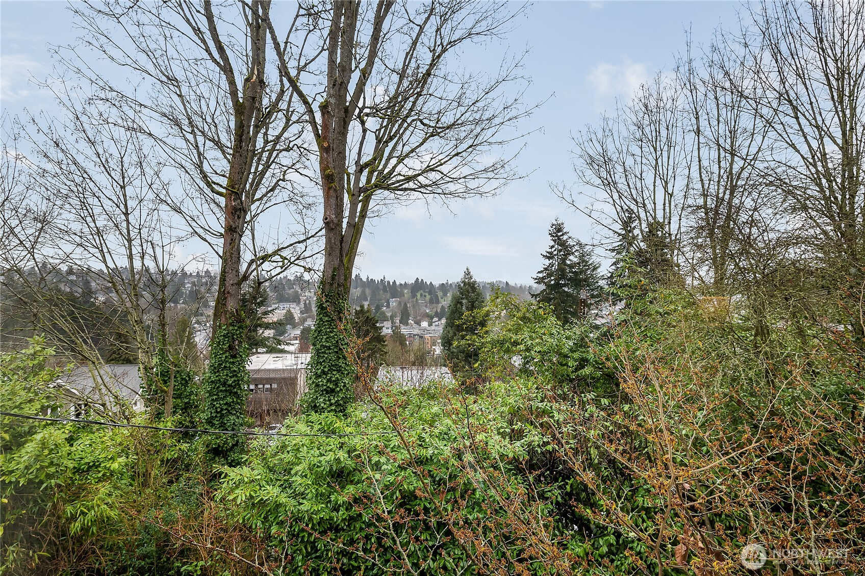 The view from this front/primary bedroom is lovely.