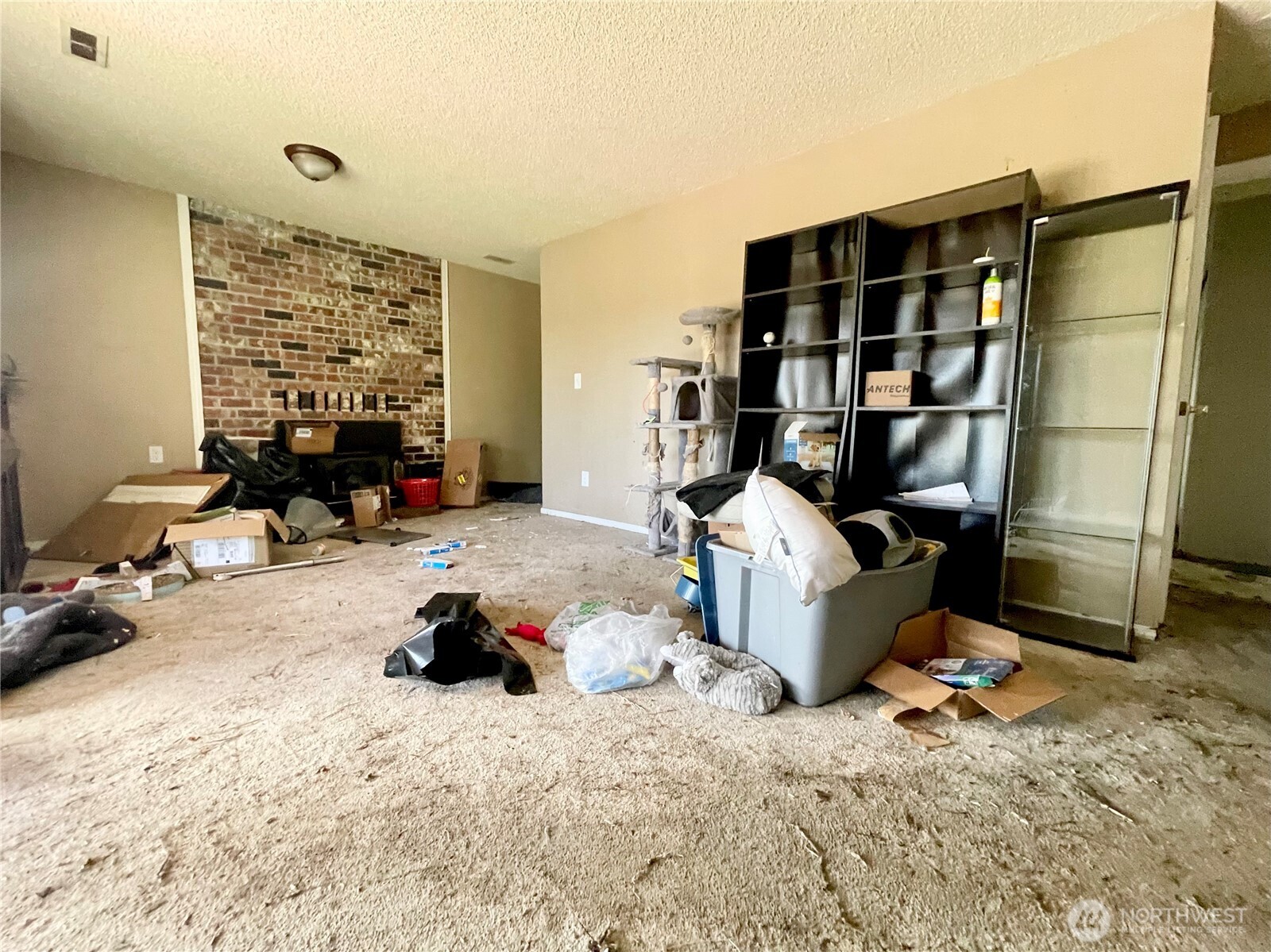 Basement Main Room with Fireplace