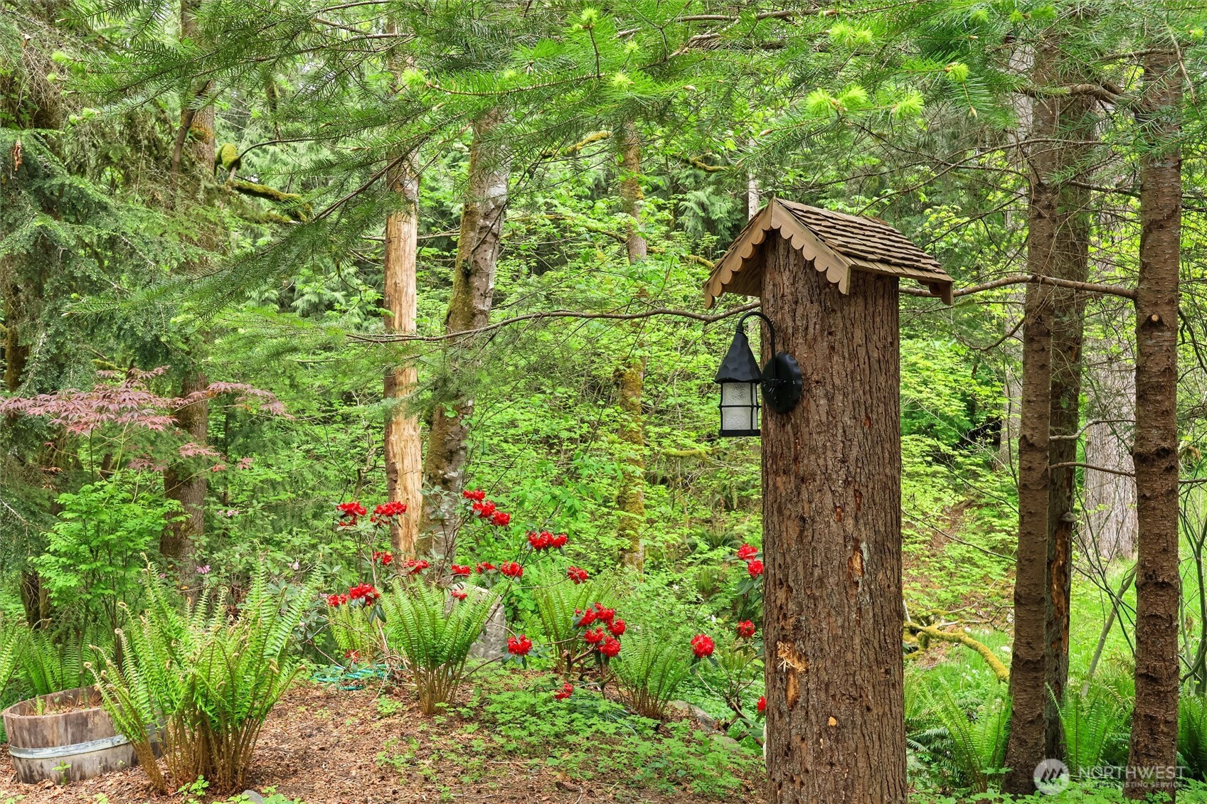 Such a beautiful setting to watch wildlife.