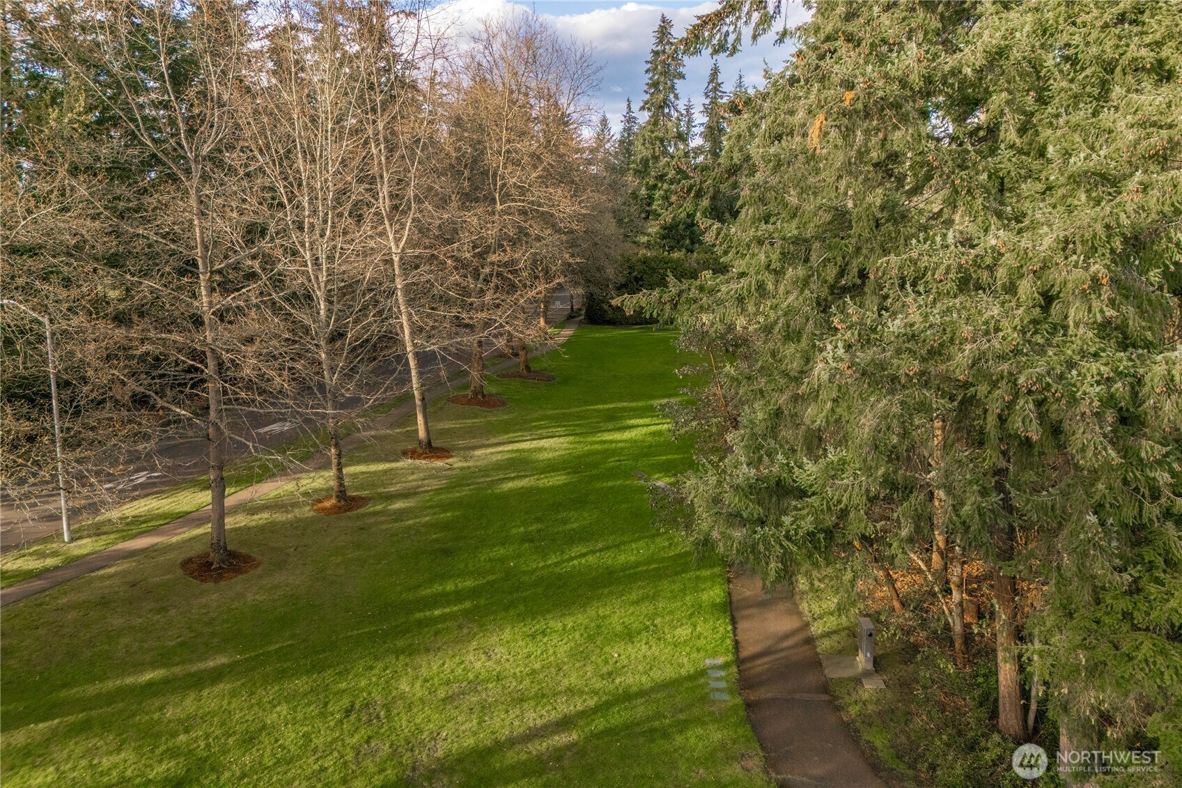 Trails