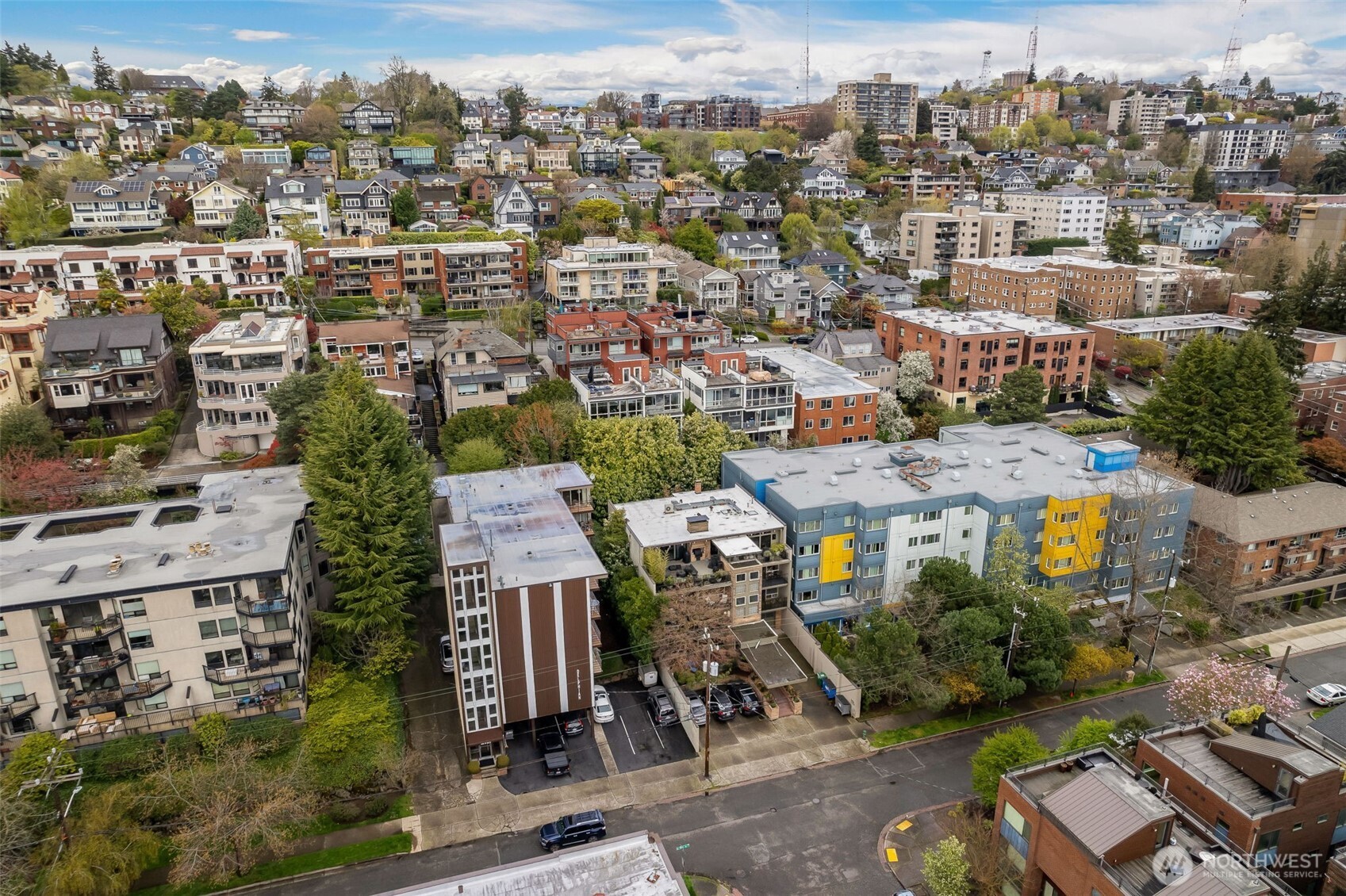 Queen Anne