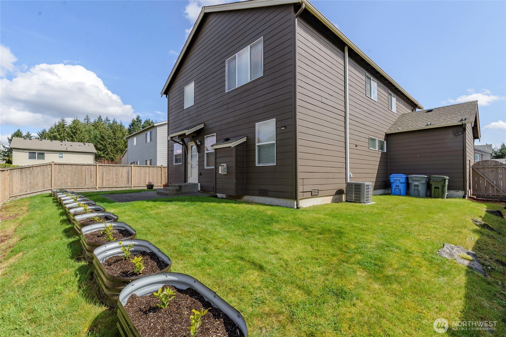shrubs in planters grow 5 ft year/added privacy