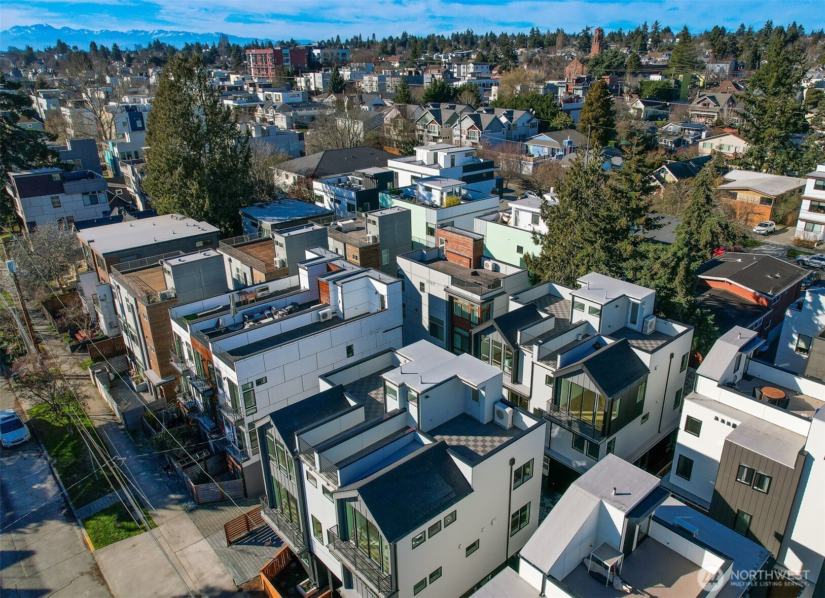 Quiet, Residential Street in Heart of Ballard