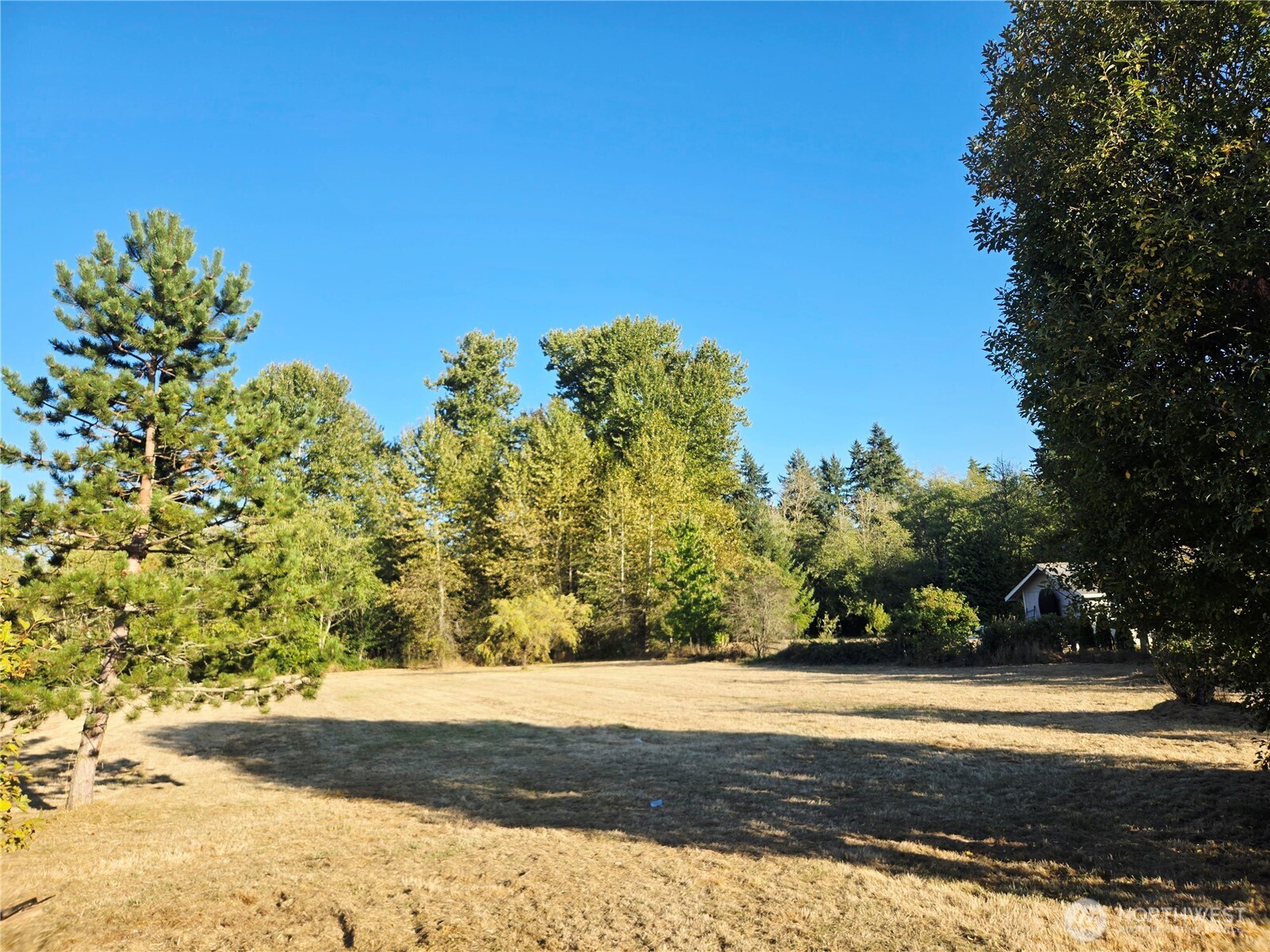 Back yard Has a pond that's is there most of the year