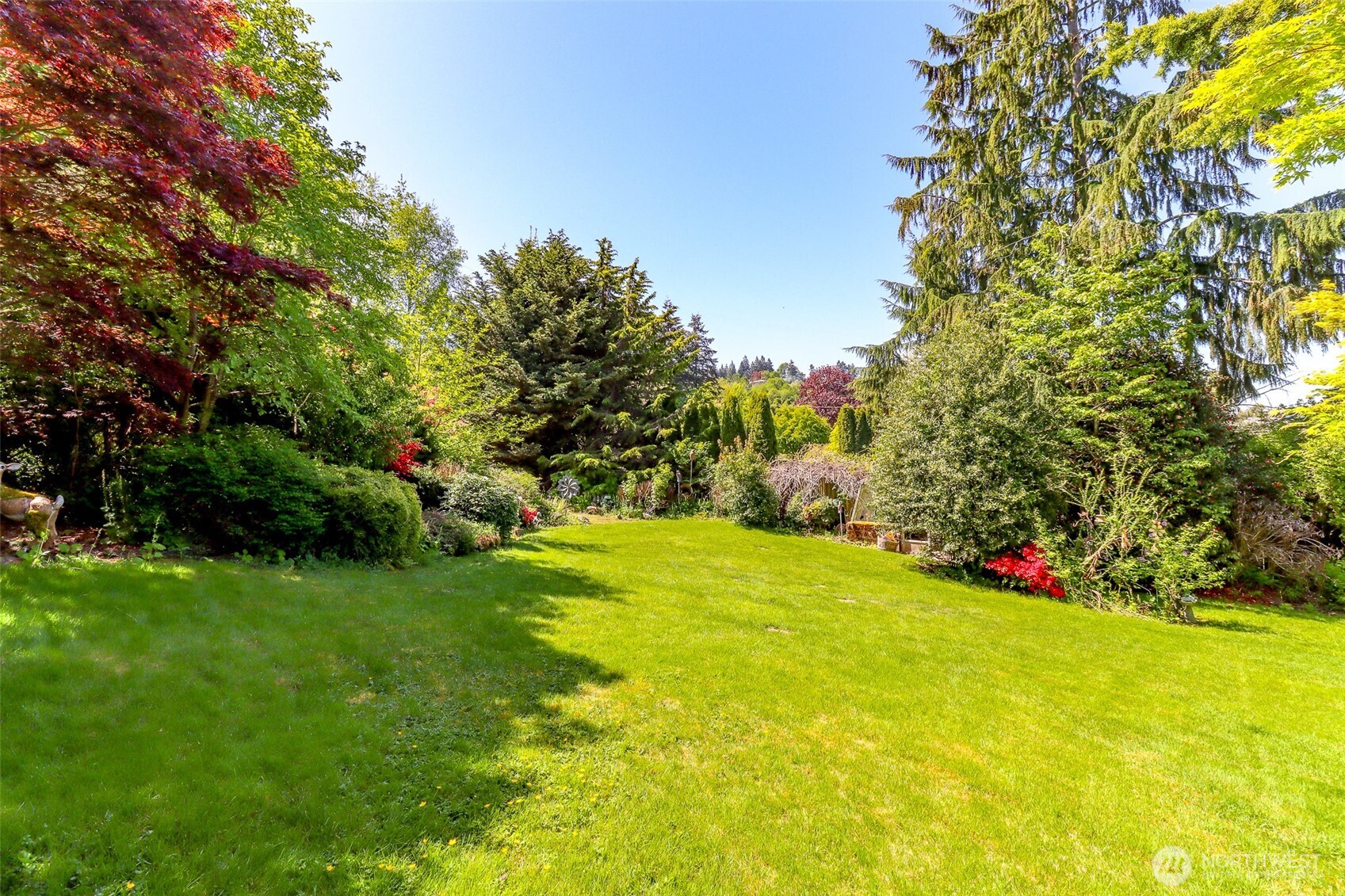 Front yard