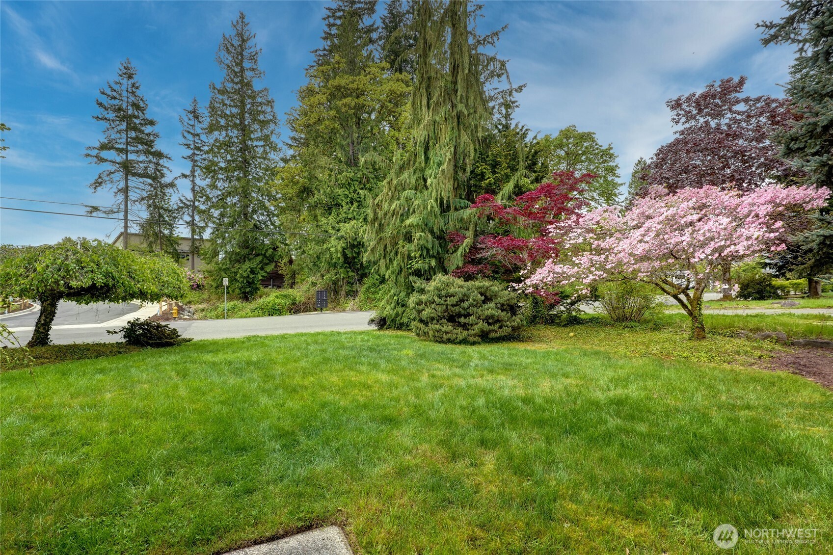 Beautiful Landscape Design & Matured Trees