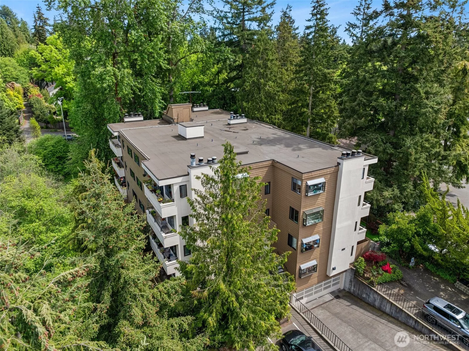 The building is set back from the street, surrounded by trees and a creek.