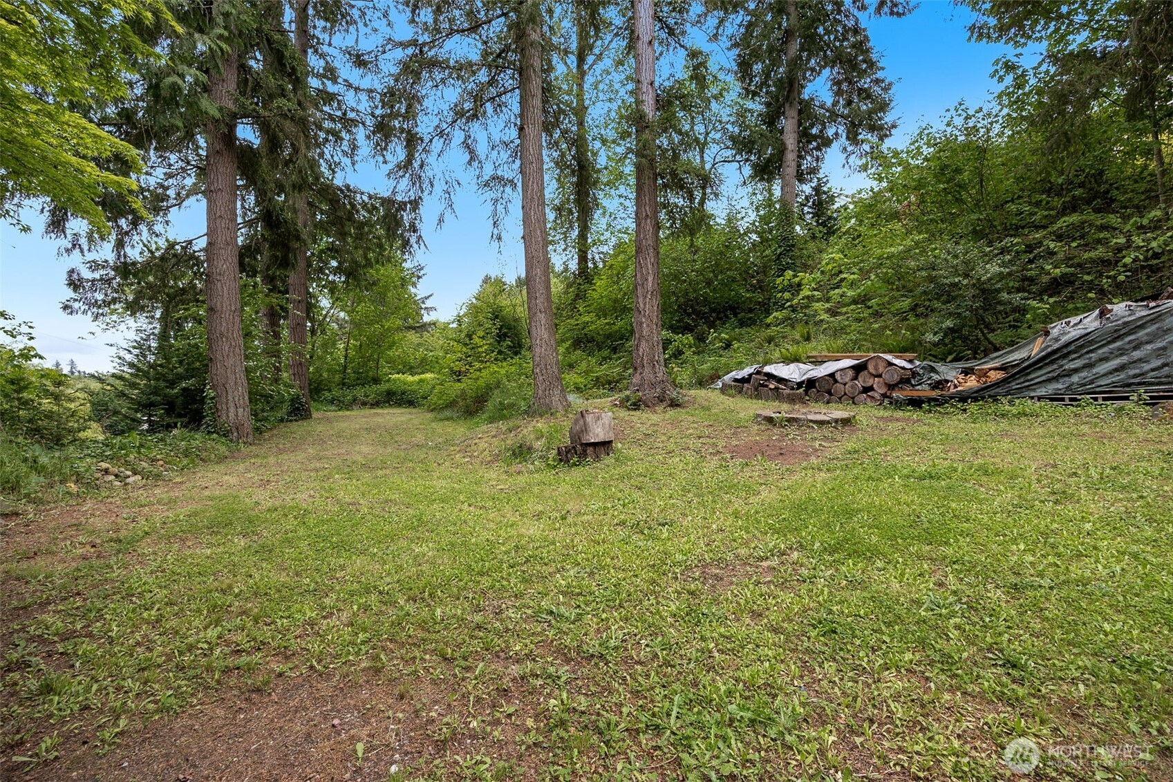 Large mostly flat yard with firepit, RV/Trailer/Truck parking. Also a potential spot for future DADU