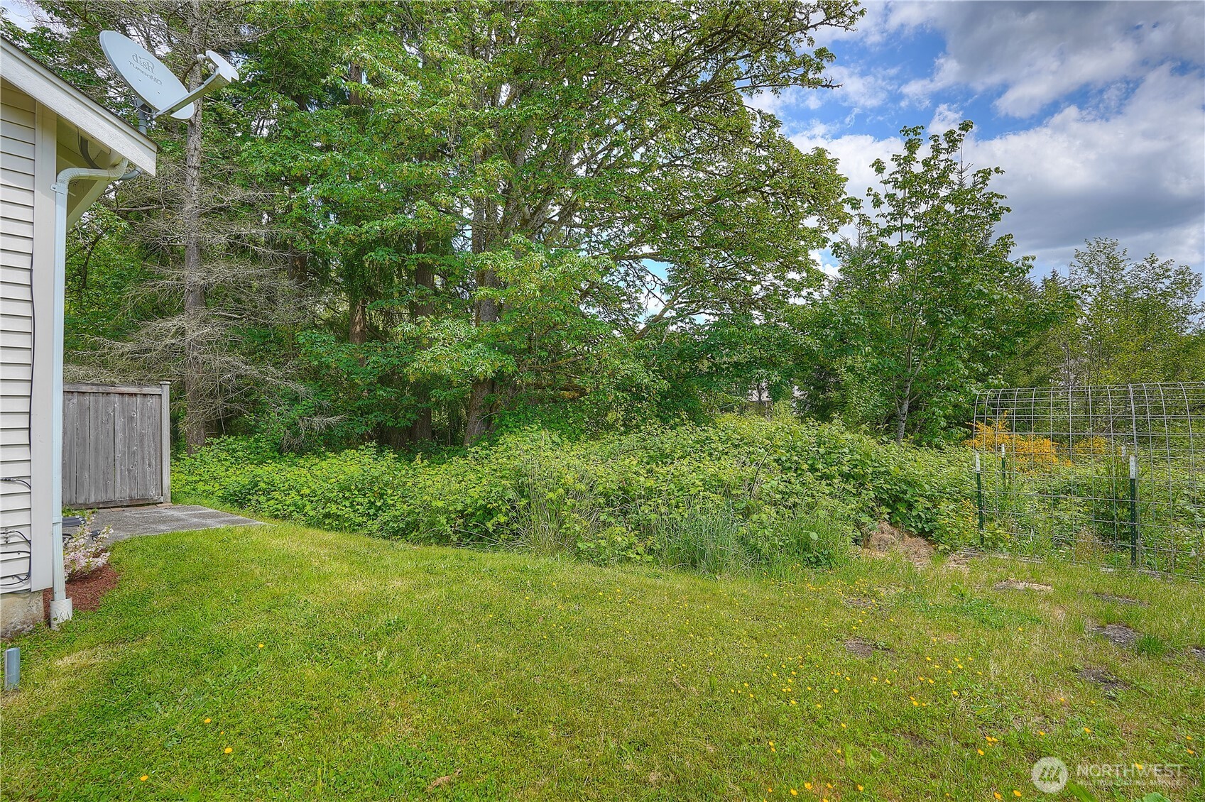 side yard