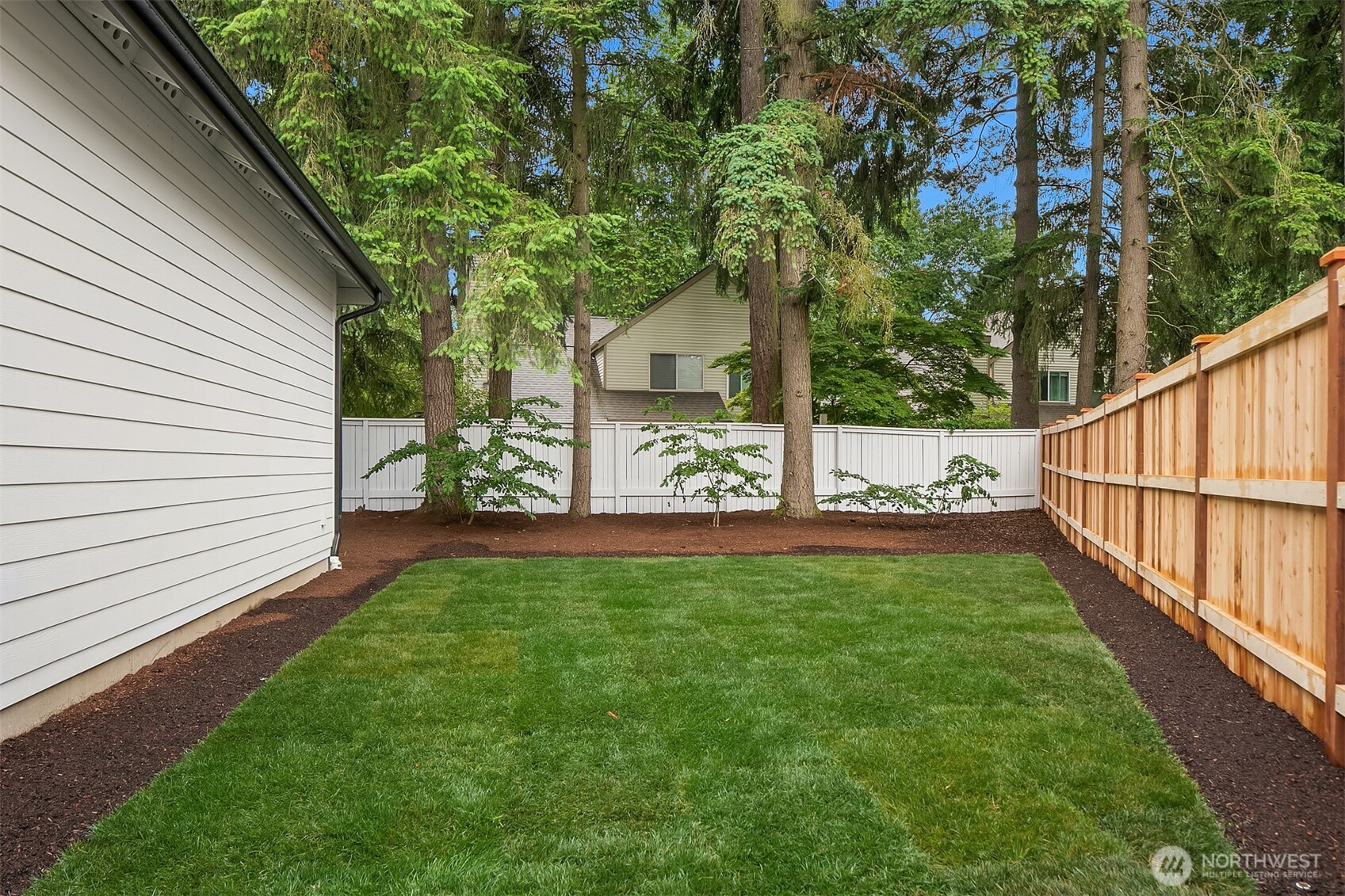 North Side yard
