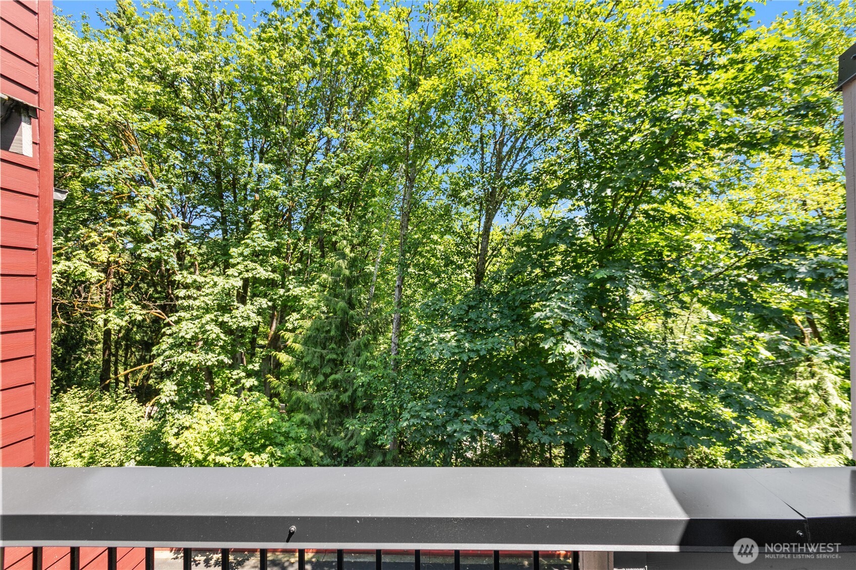 Balcony overlooking greenspace