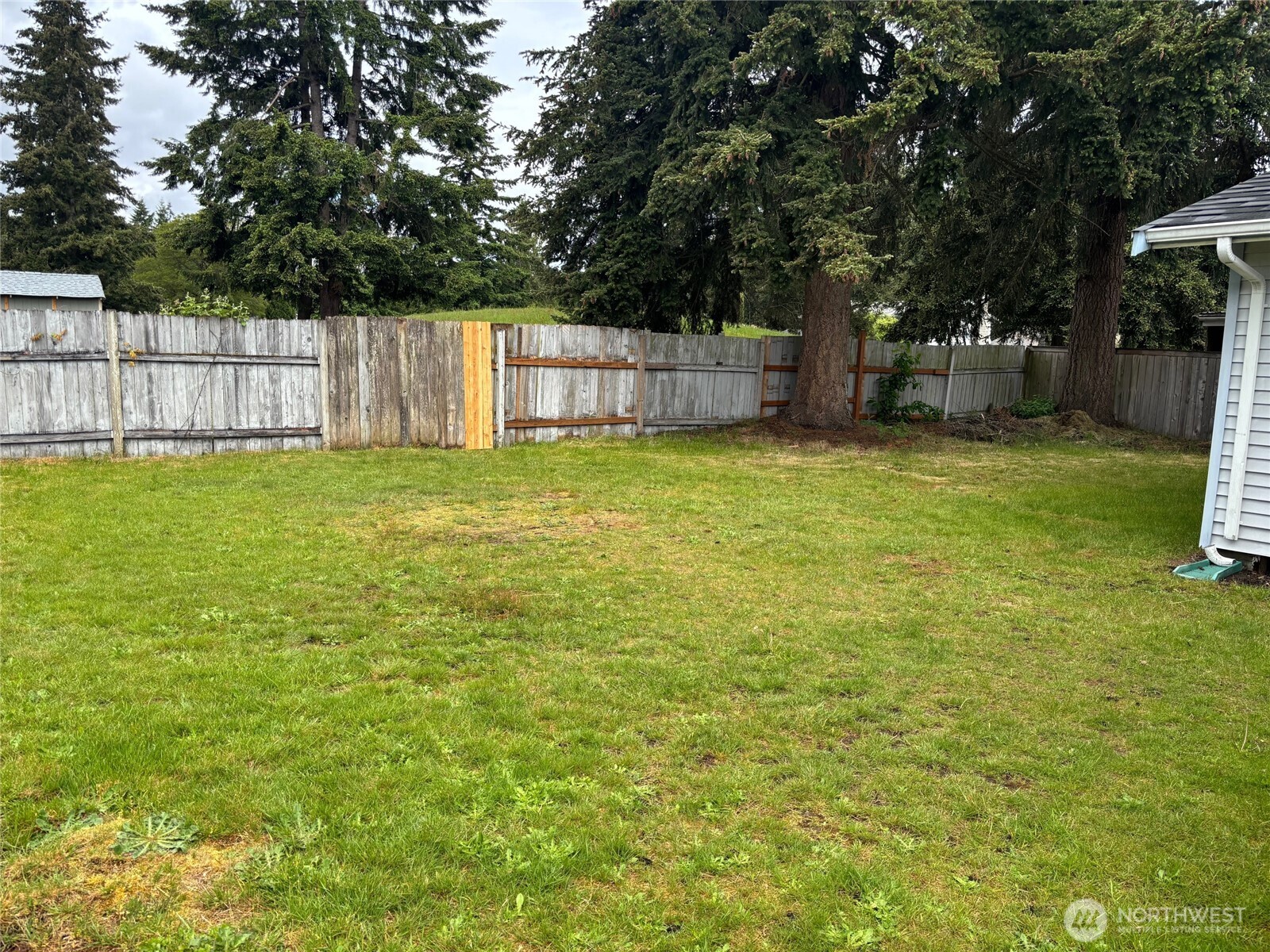 Fenced Back yard