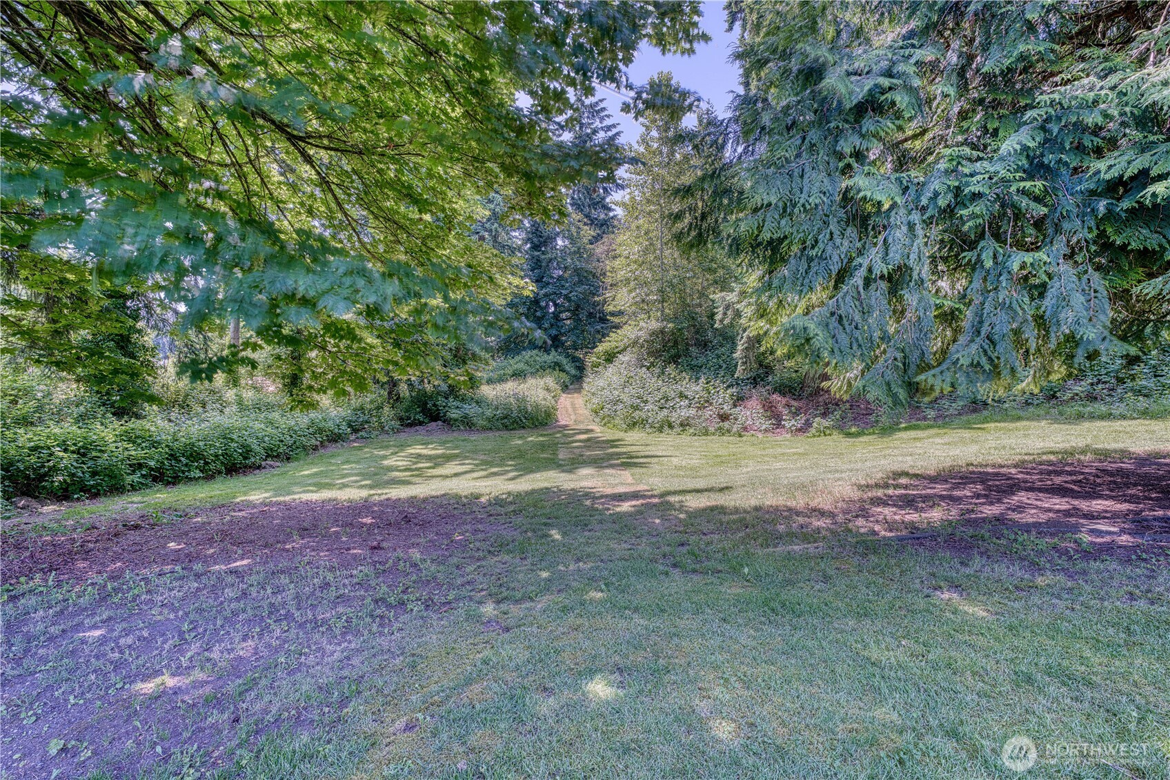 Another view of your land, there's lots of it, it is a .91 acre lot