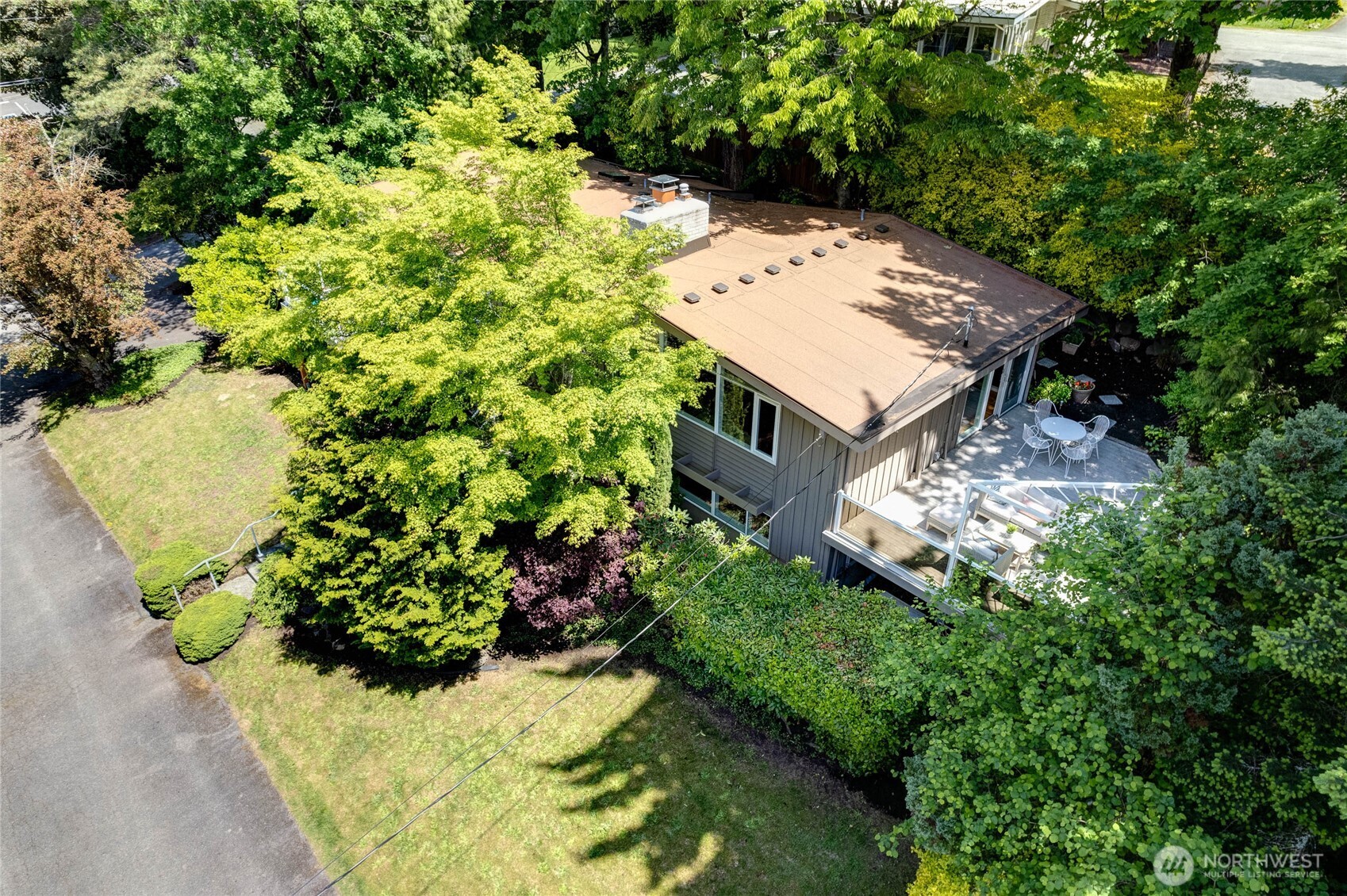 View of the backyard with lush surroundings.