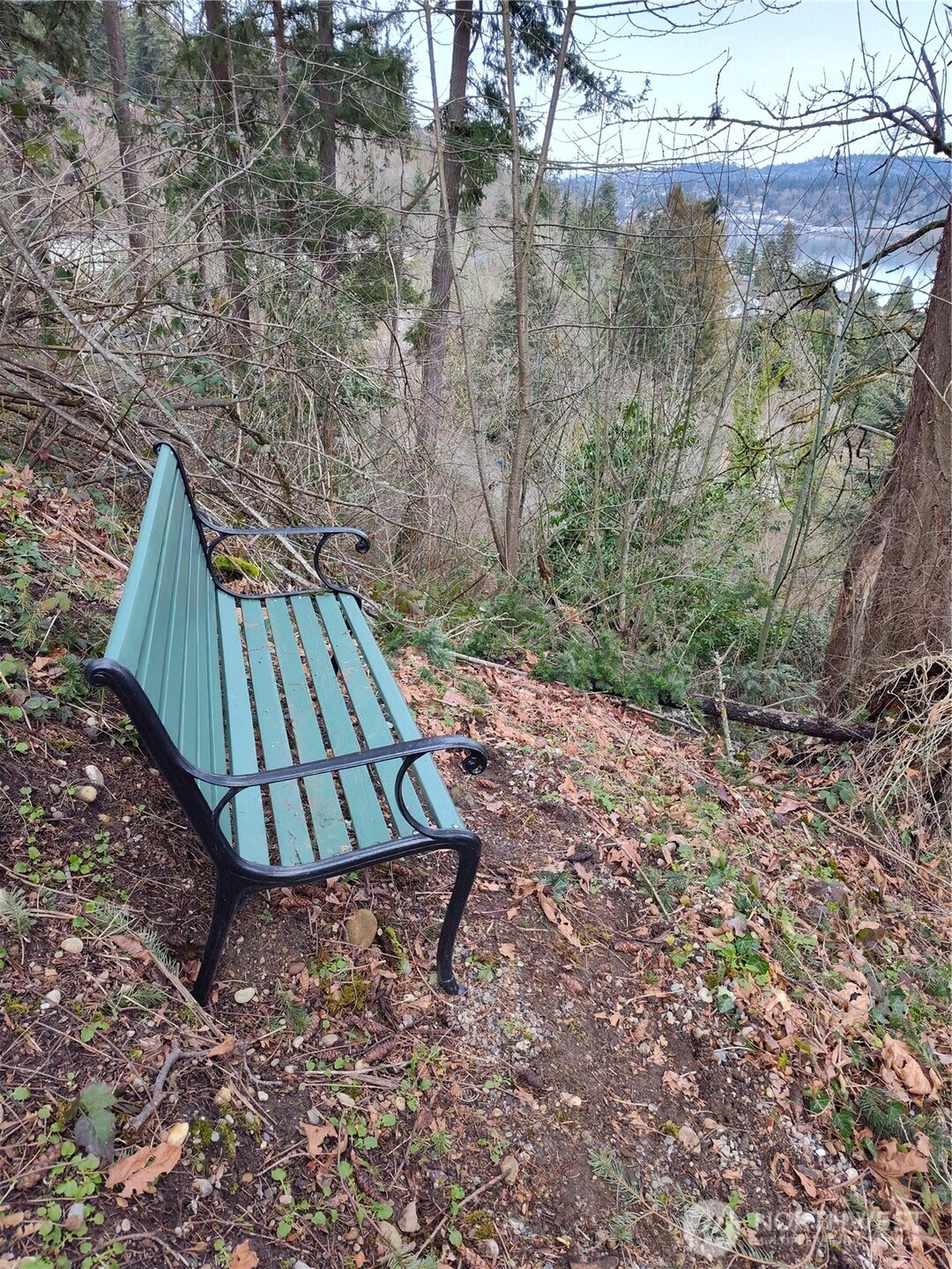 Top of the trail view bench