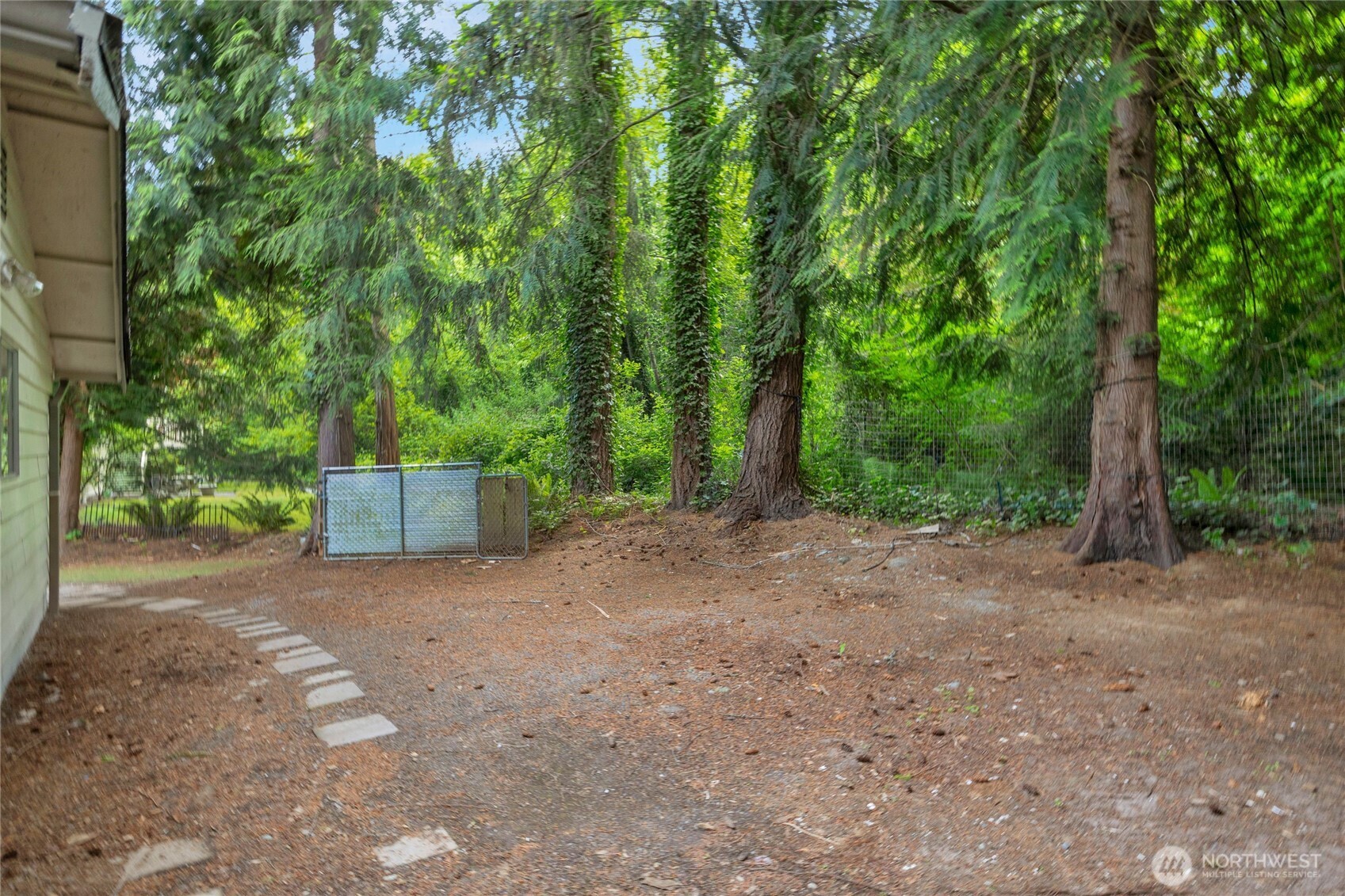 Side yard