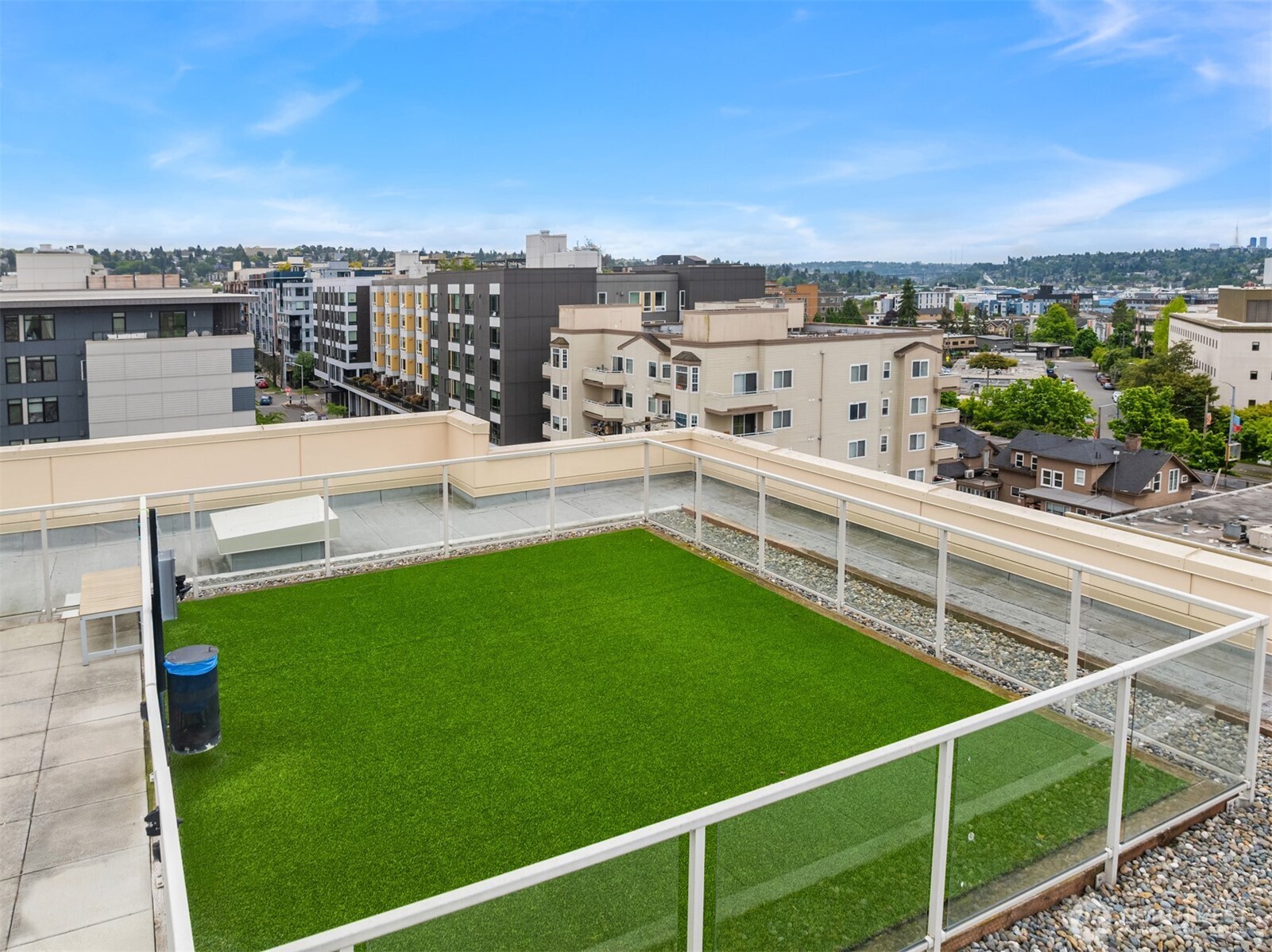 Roof top dog park