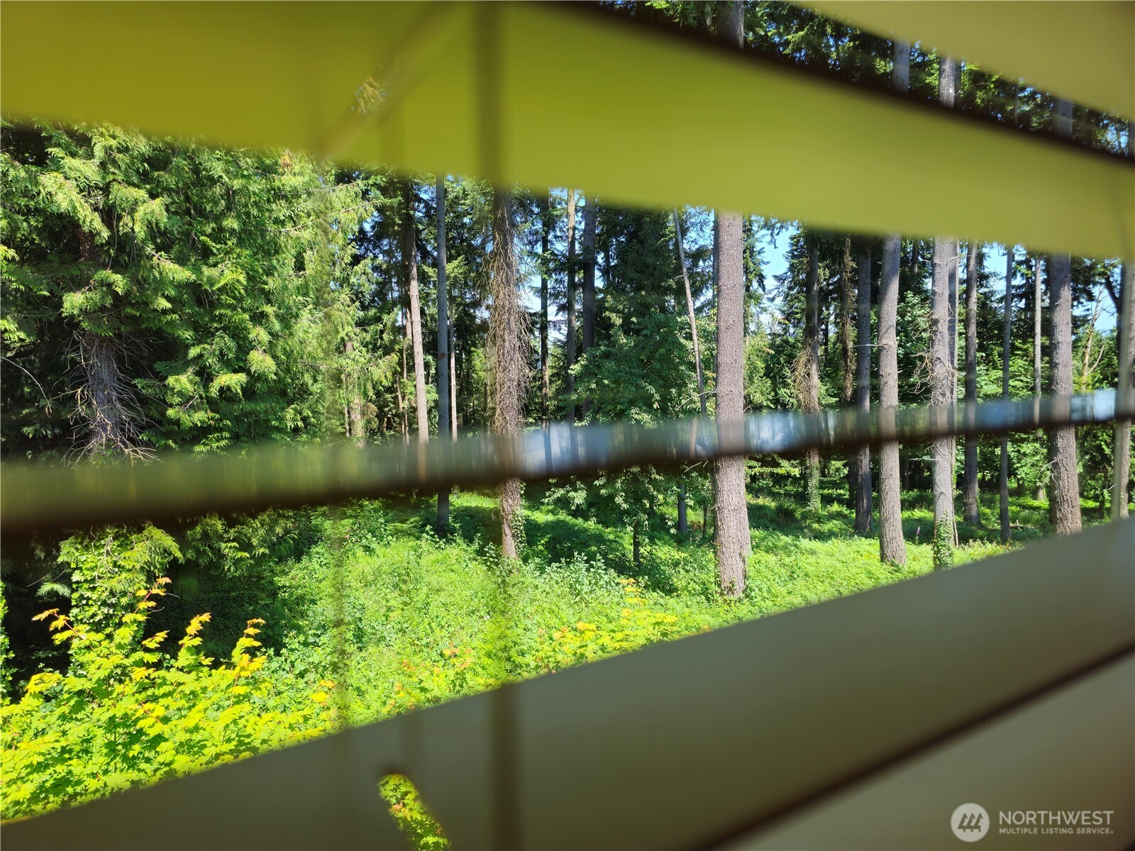 Enjoy Pacific Northwest scenery right out your bedroom window. Backs up to green space!