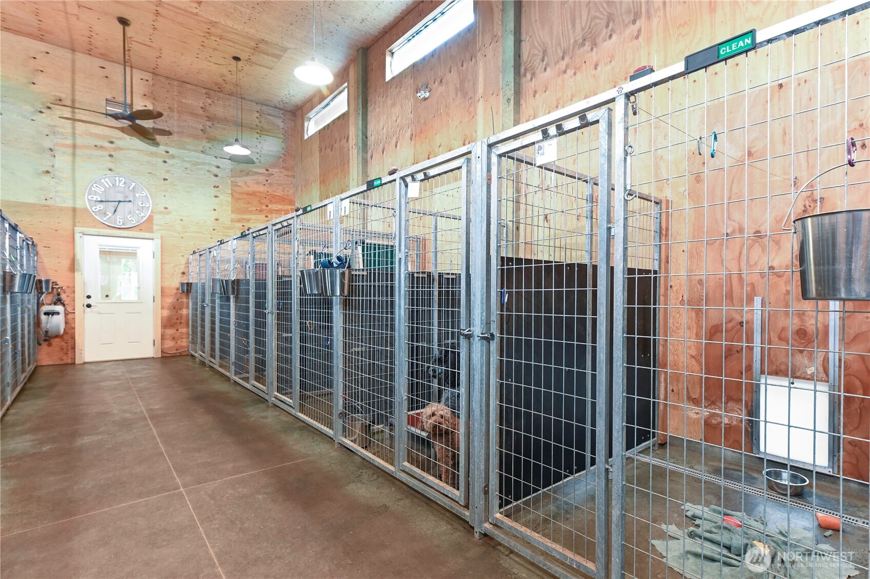12 Spacious Kennels