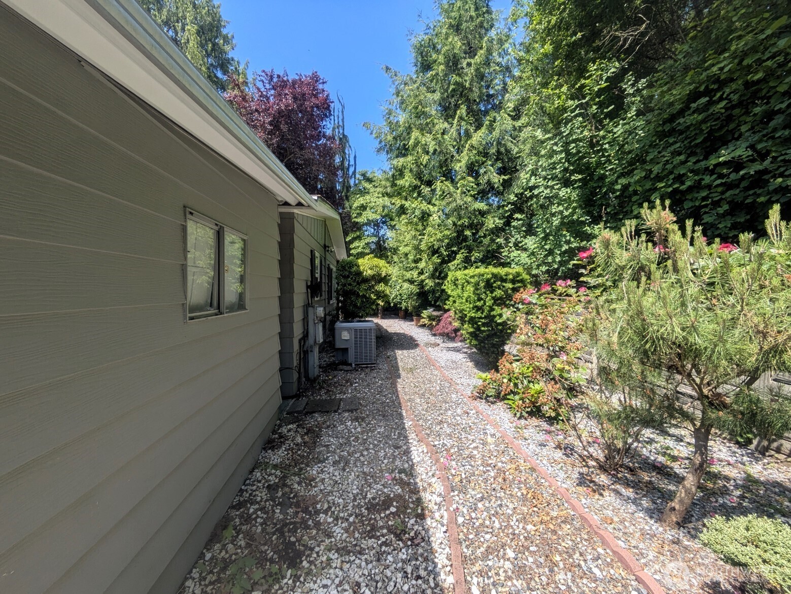 Back of house - park-like setting