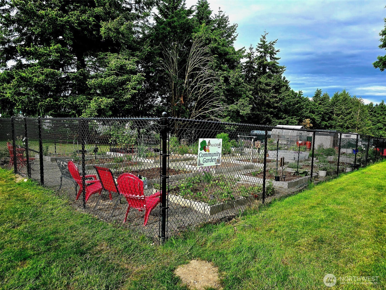Community garden.