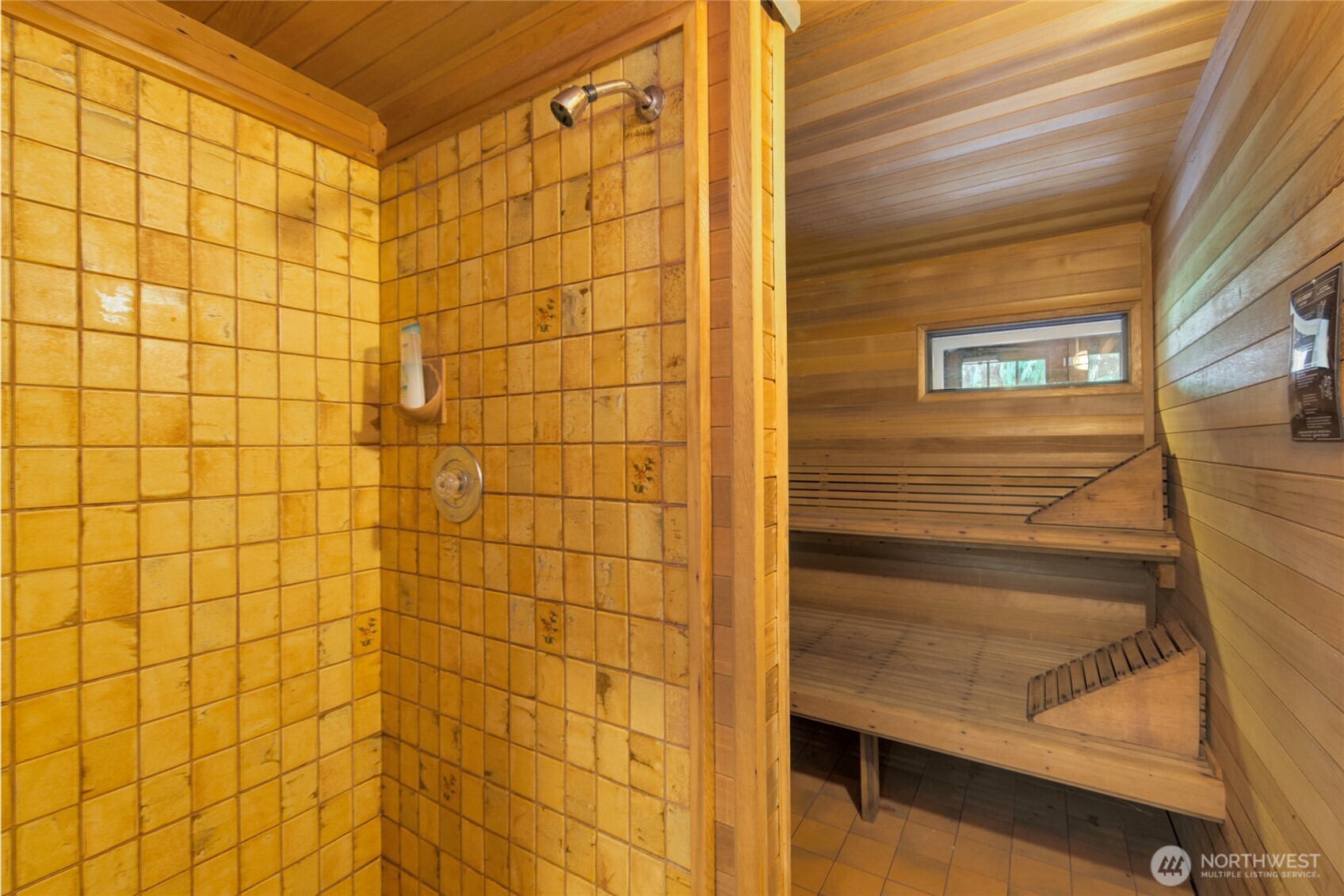 Sauna and shower combo