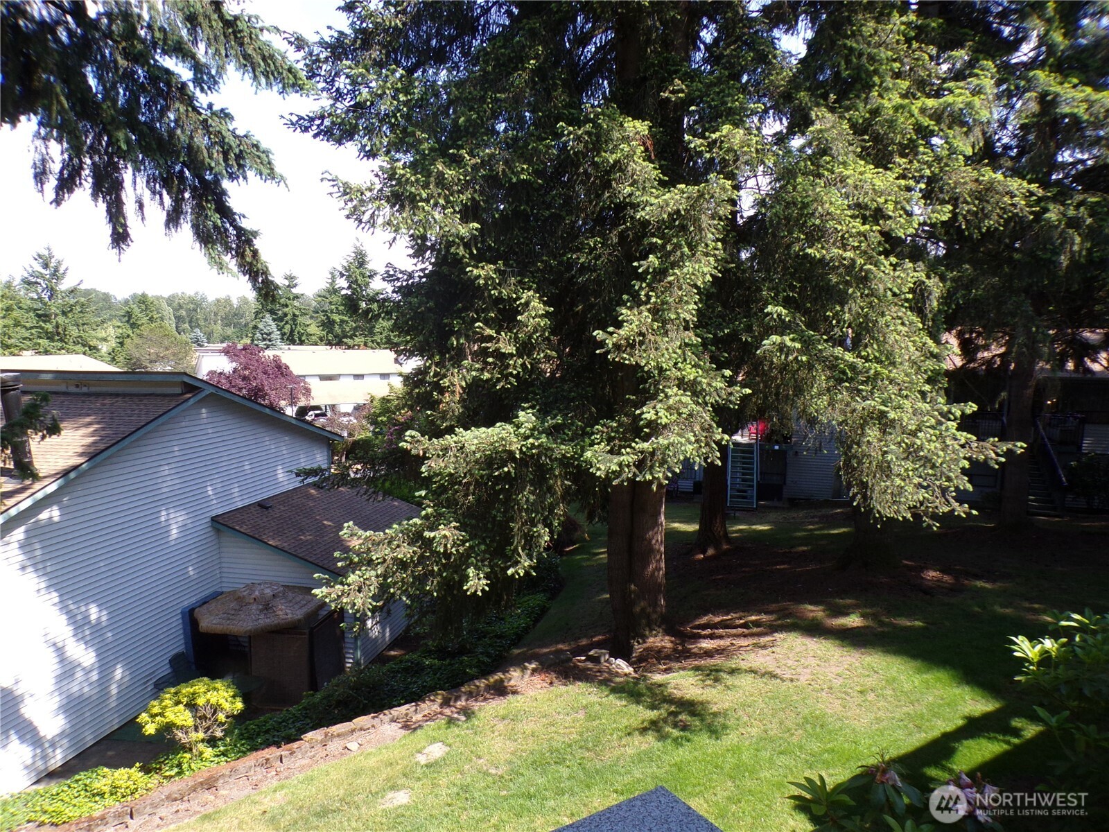 view from deck
