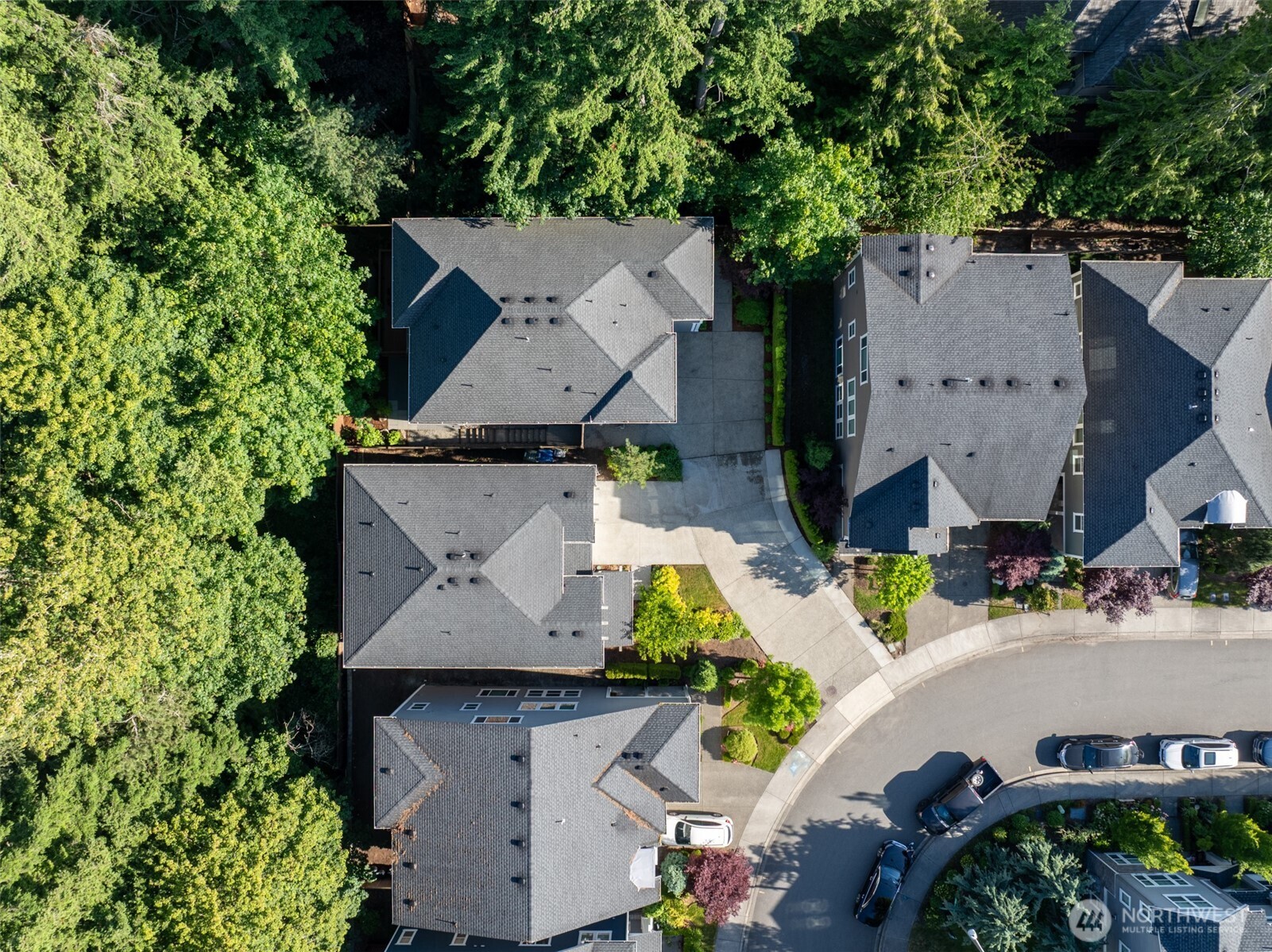 Corner Lot Against Greenbelt for Privacy