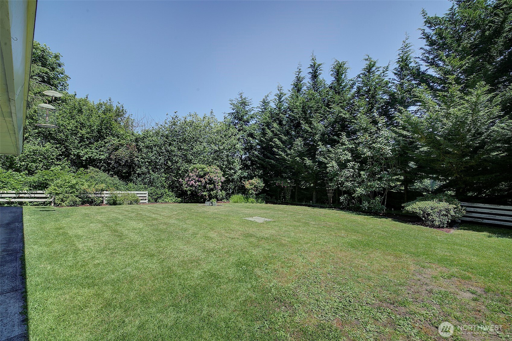 The backyard is a perfect place for outdoor entertainment.