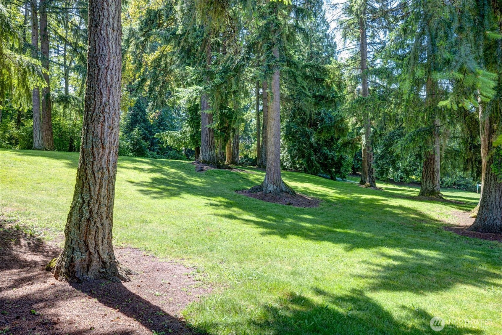Park Across the Street from Home