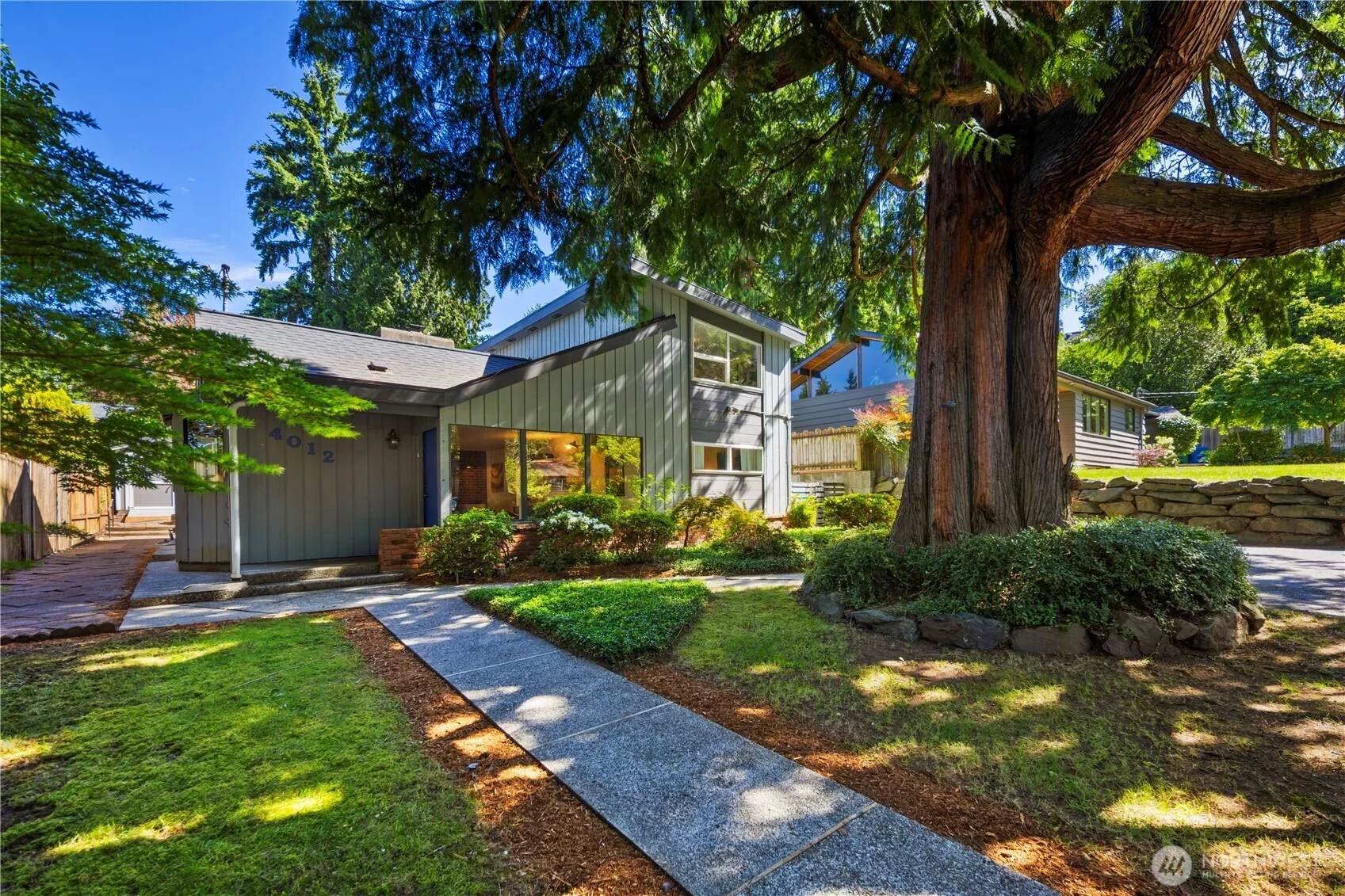 A massive old cedar tree welcomes you home!