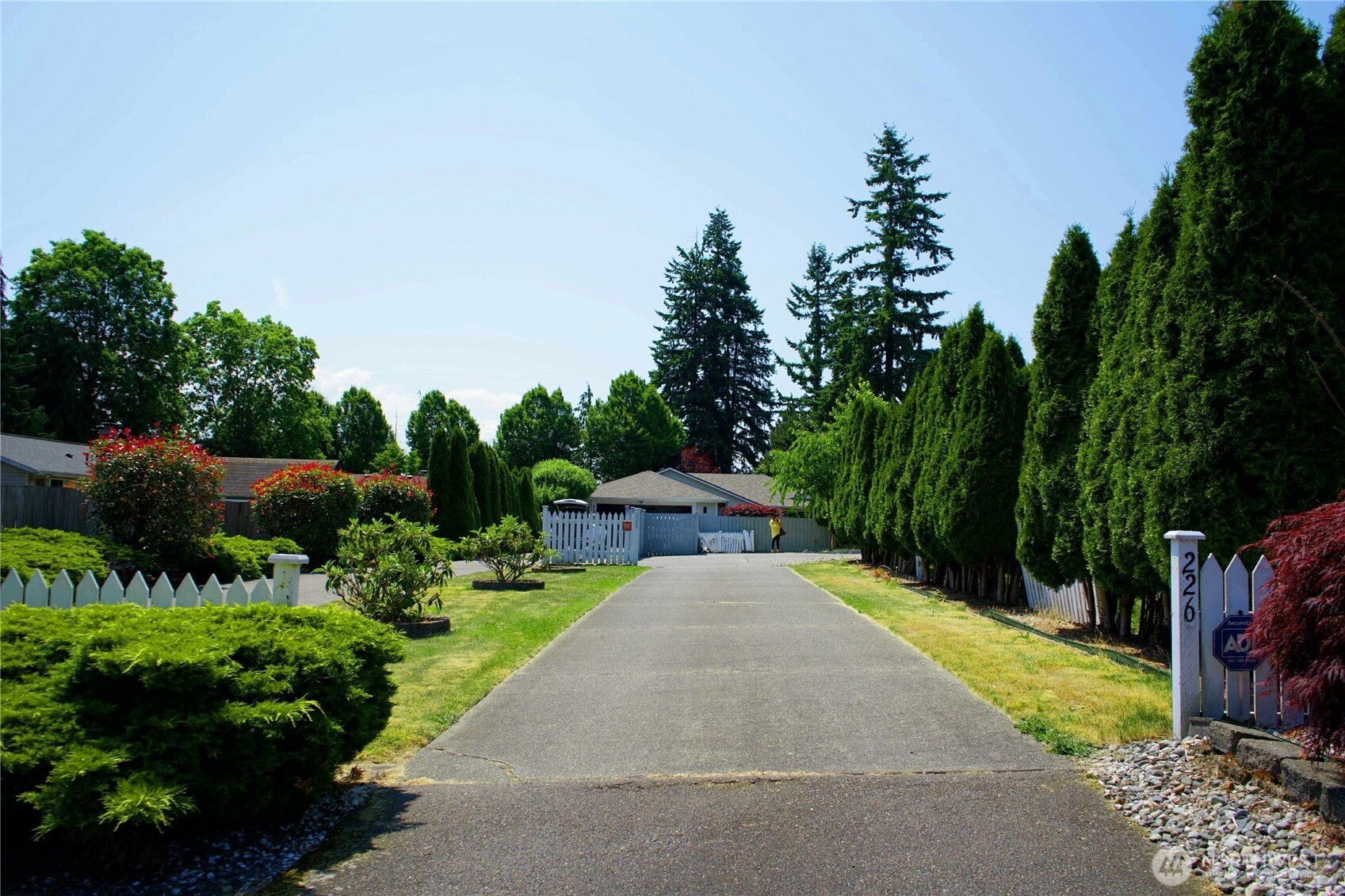 Driveway