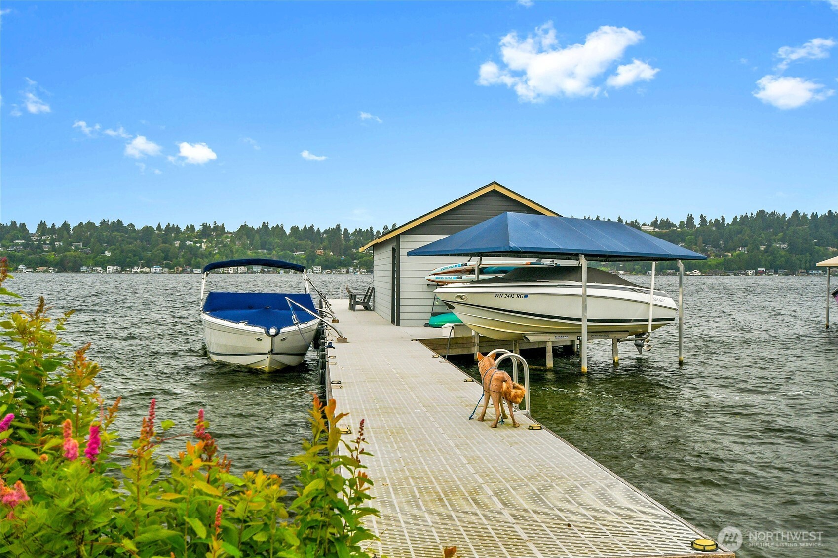 Shared waterfront dock