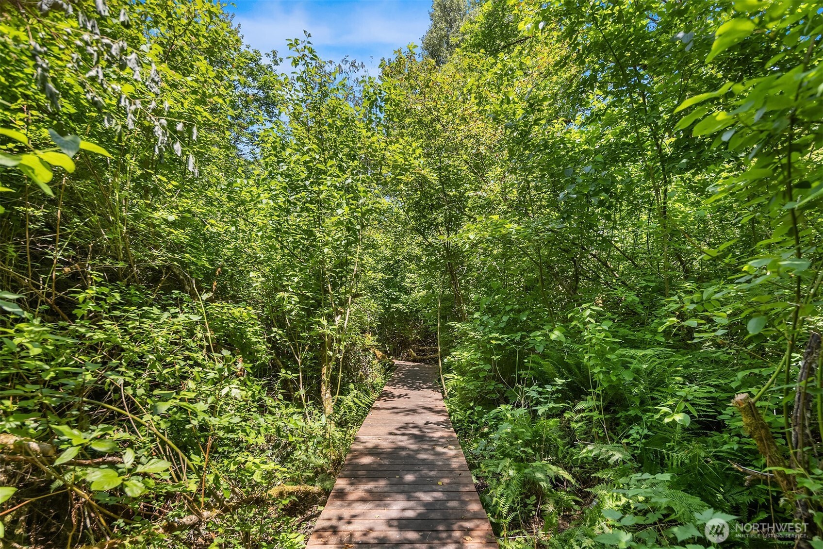 ~1/3 mile private wooded trail loop that meanders through the trees.