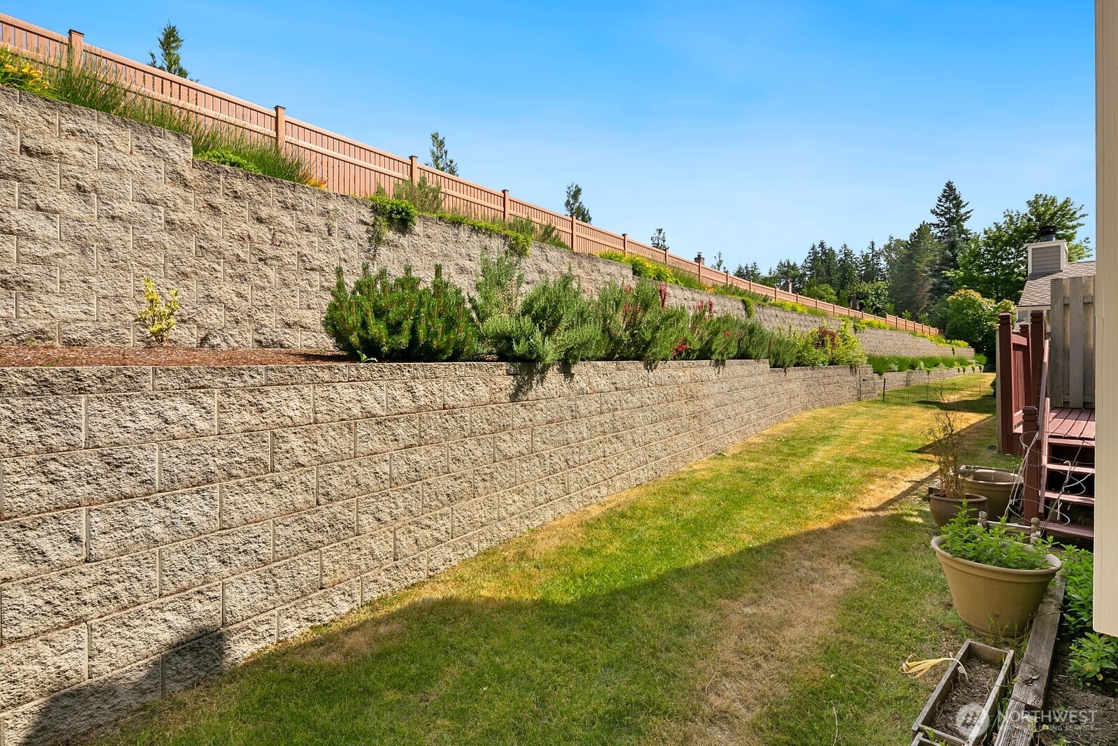 Beautiful easy to maintain yard