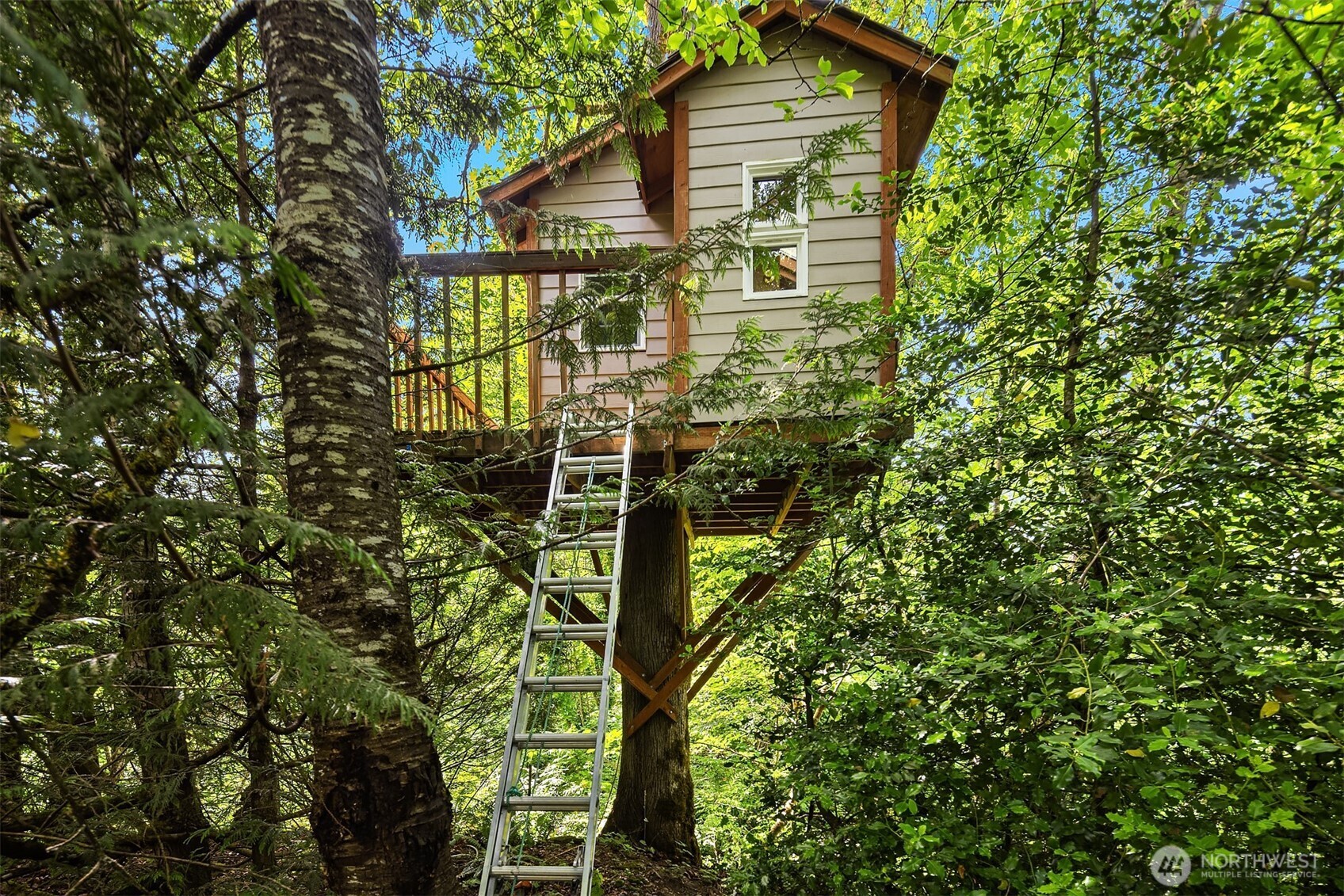 Fun tree fort up in the backyard trees.