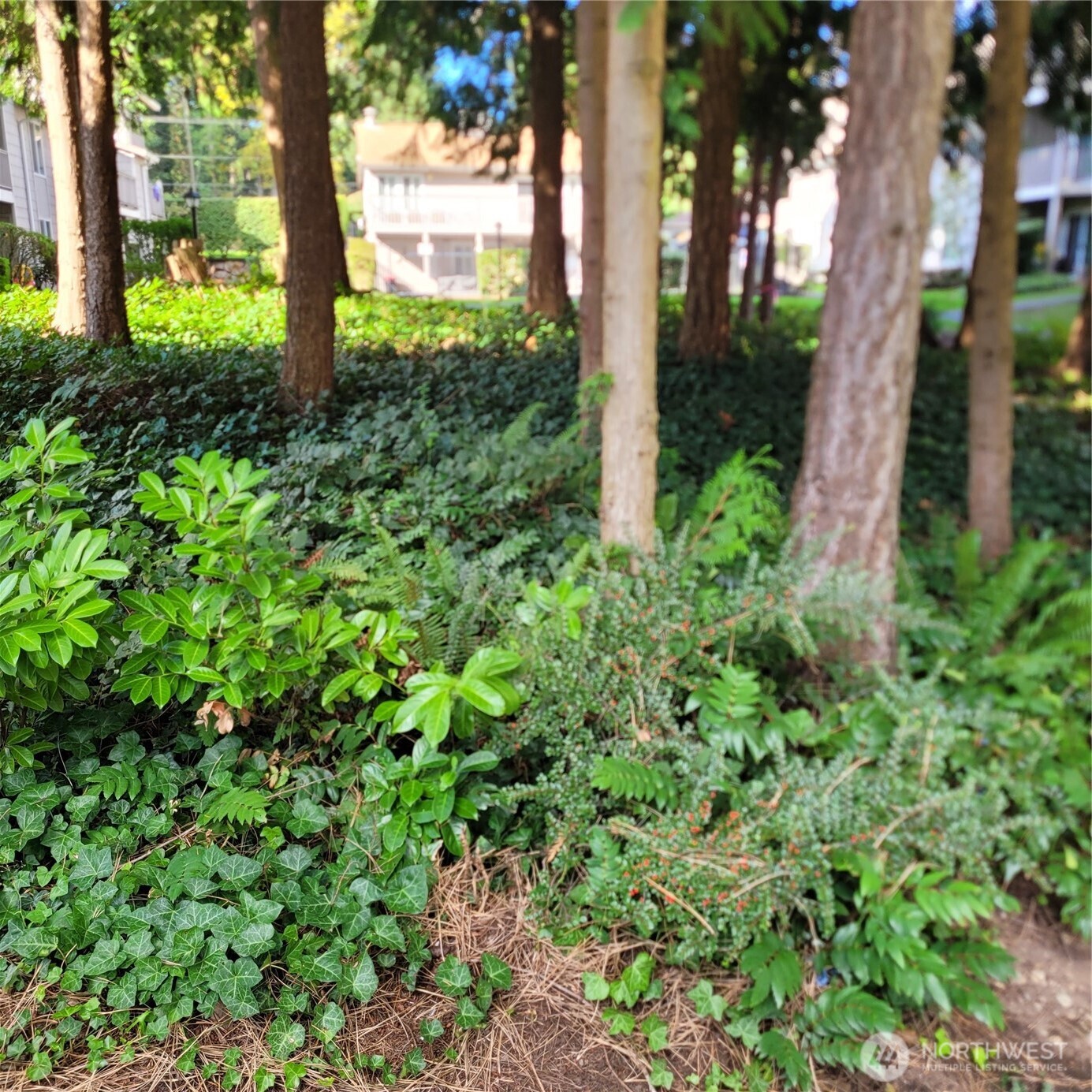 Lush, green landscaping