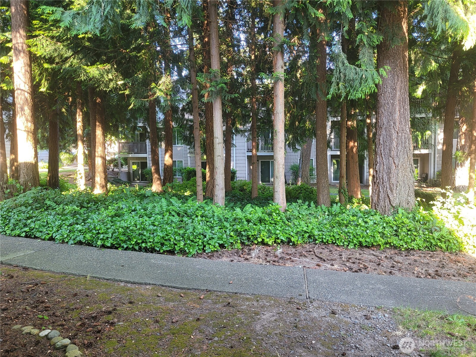 View from unit.