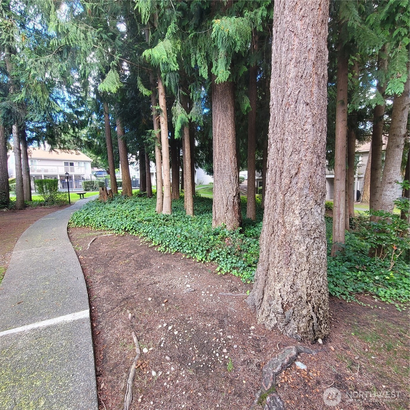Benches along the walking trails to sit and relax. More attractive lighting lamps.