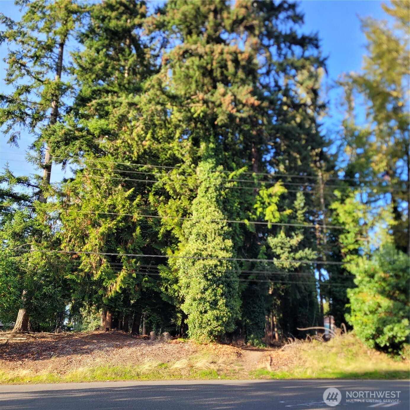 Across the street from the complex, secluded, private area.