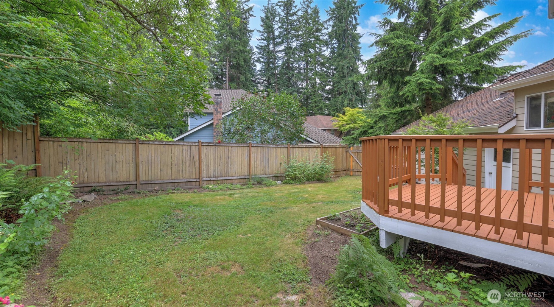A different view of the backyard.