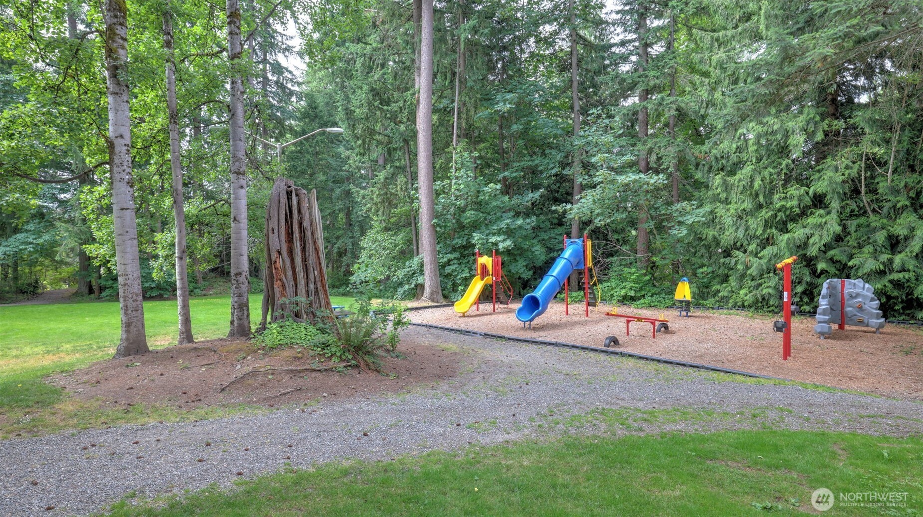 Plenty of space to run and play. Don't miss out on all the fun.