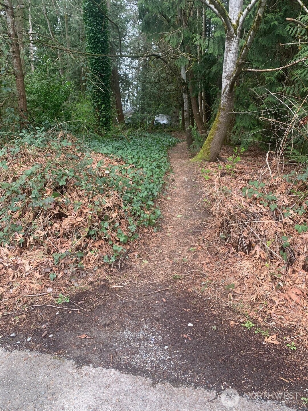 Trail into property. OK to use to peek at the back of the property