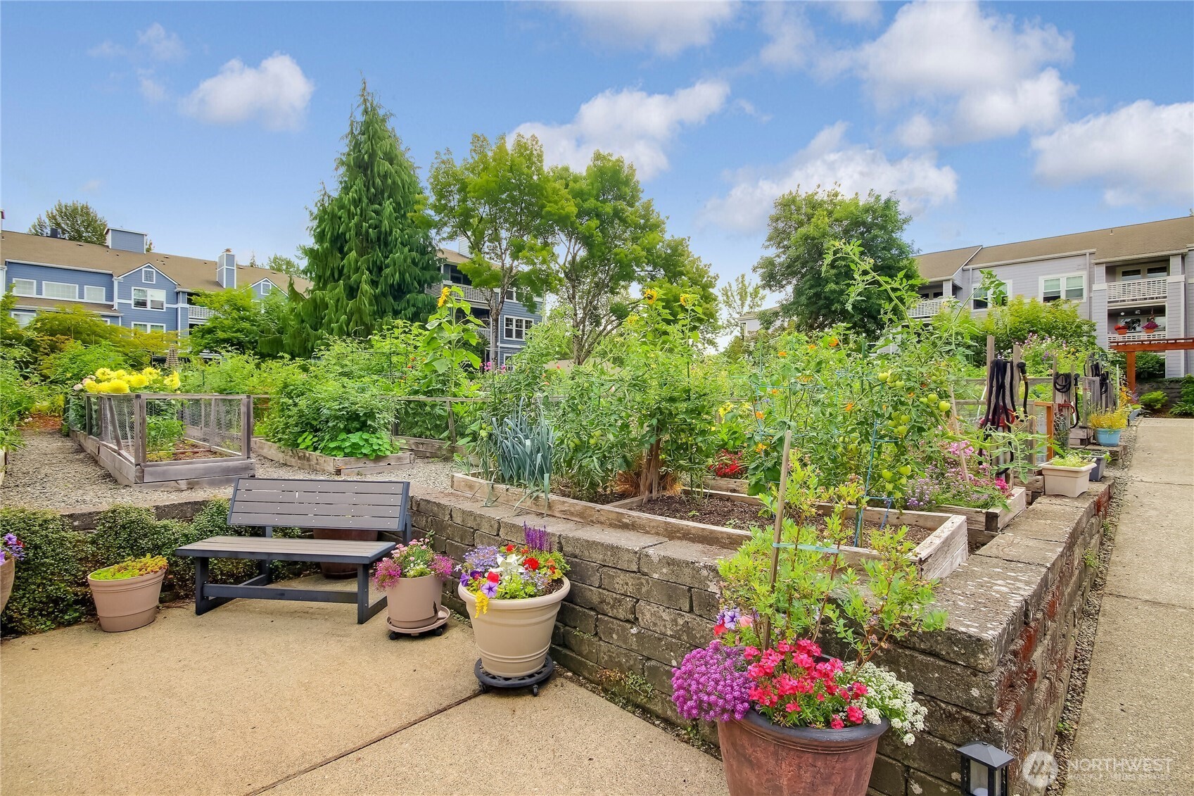 Pea Patch garden