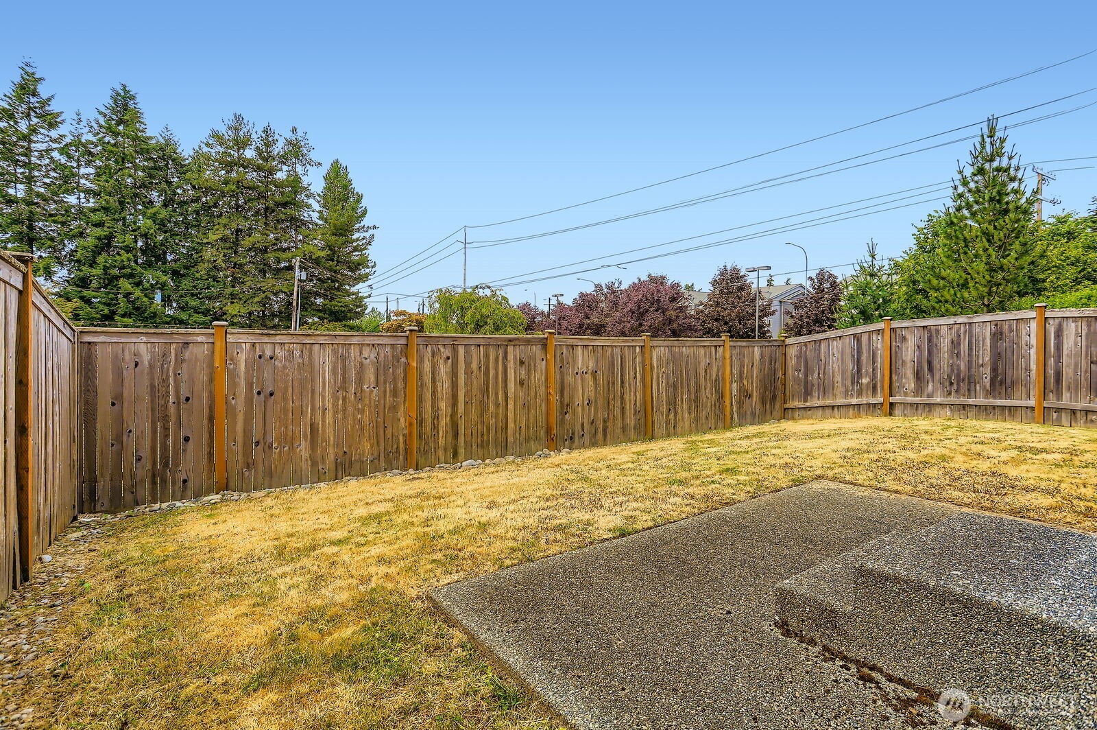 /NWM2393178/NWM2393178-18.jpg