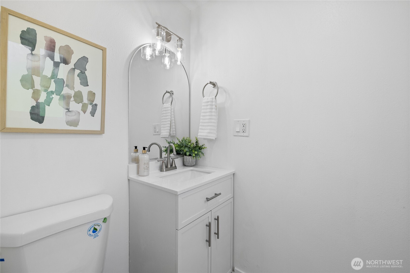 Guest bathroom - lower level.