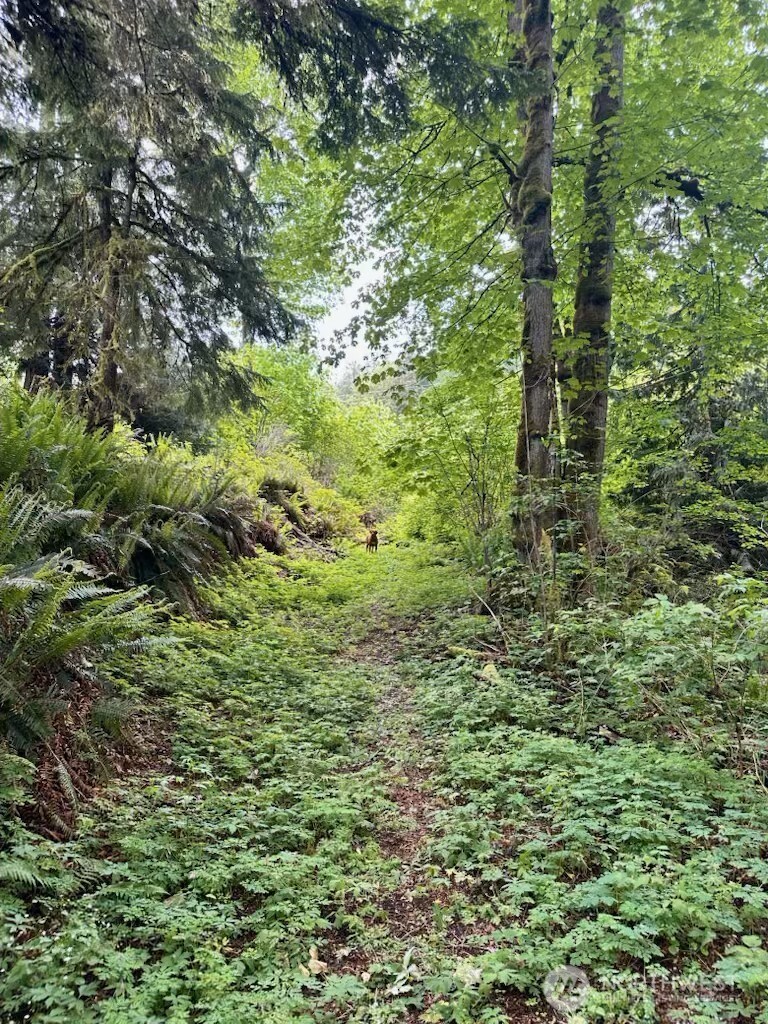 Hiking trails in the development