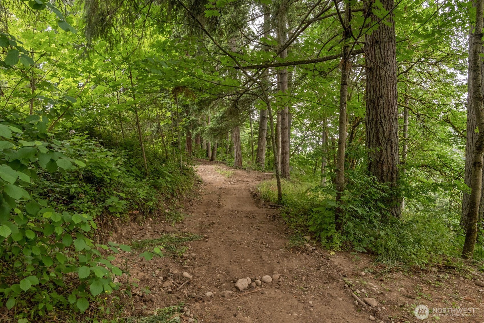 Walking trails in back