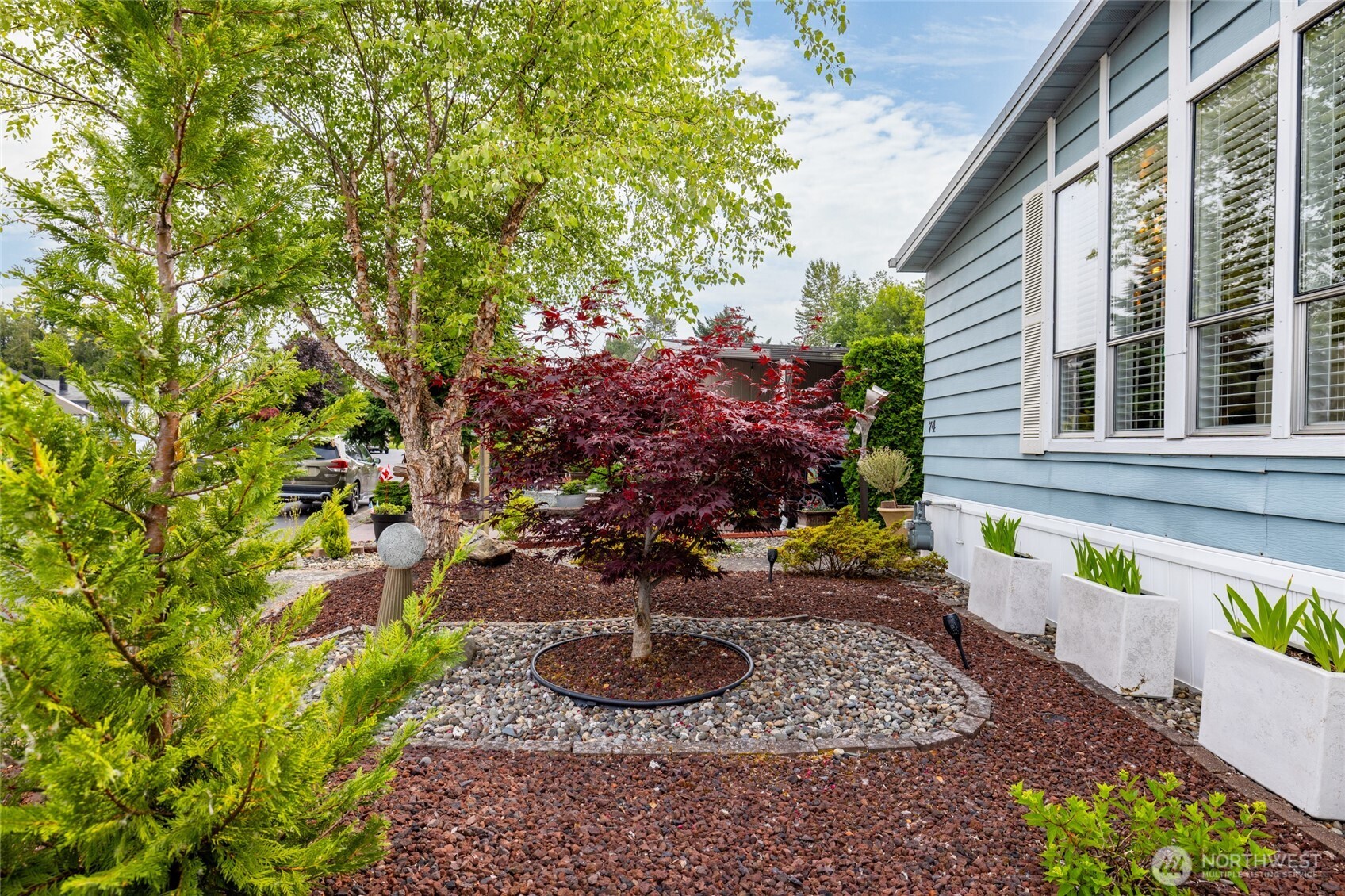Lovely, low-maintenance front yard
