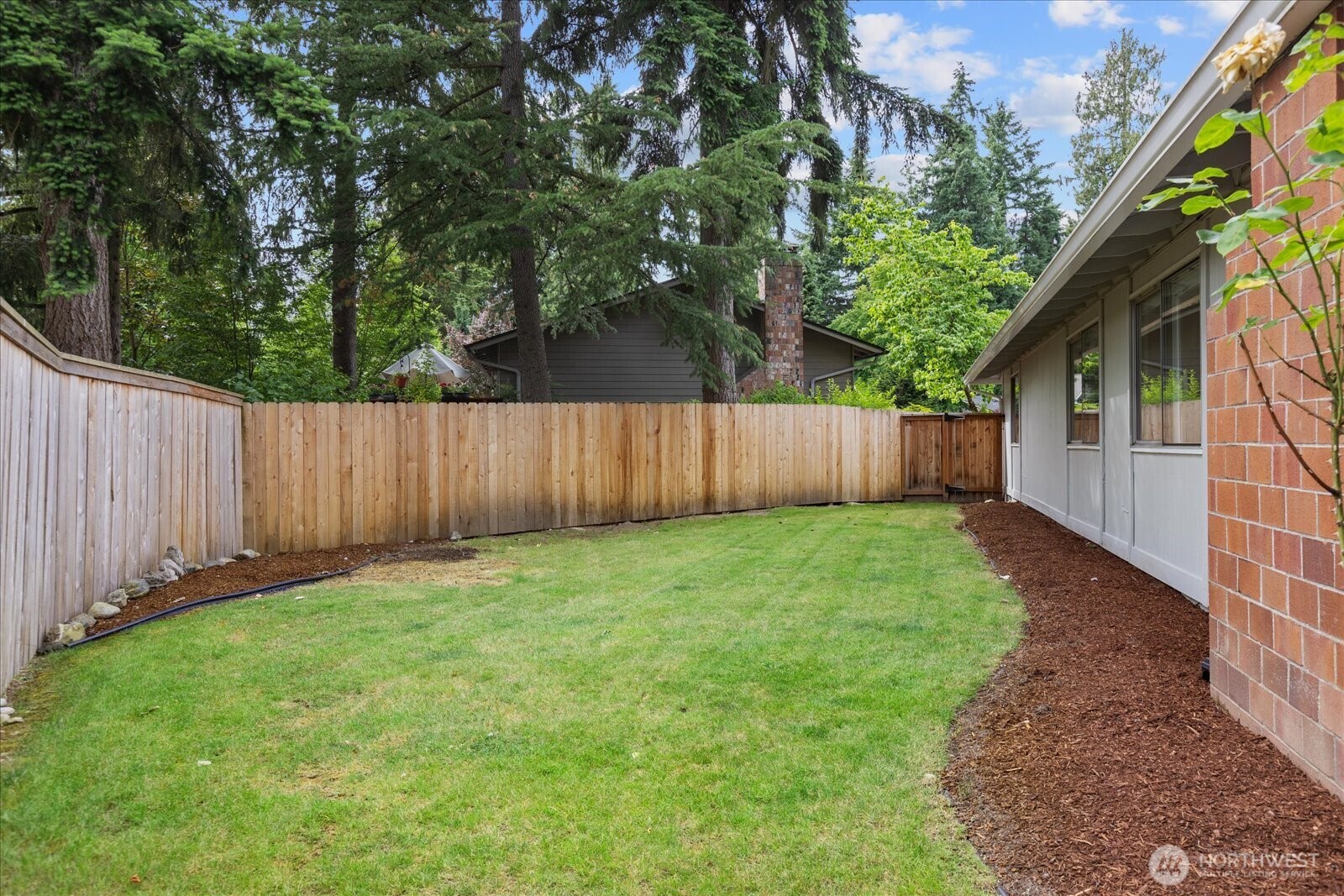 This is the other side yard that the bedrooms have a view of.